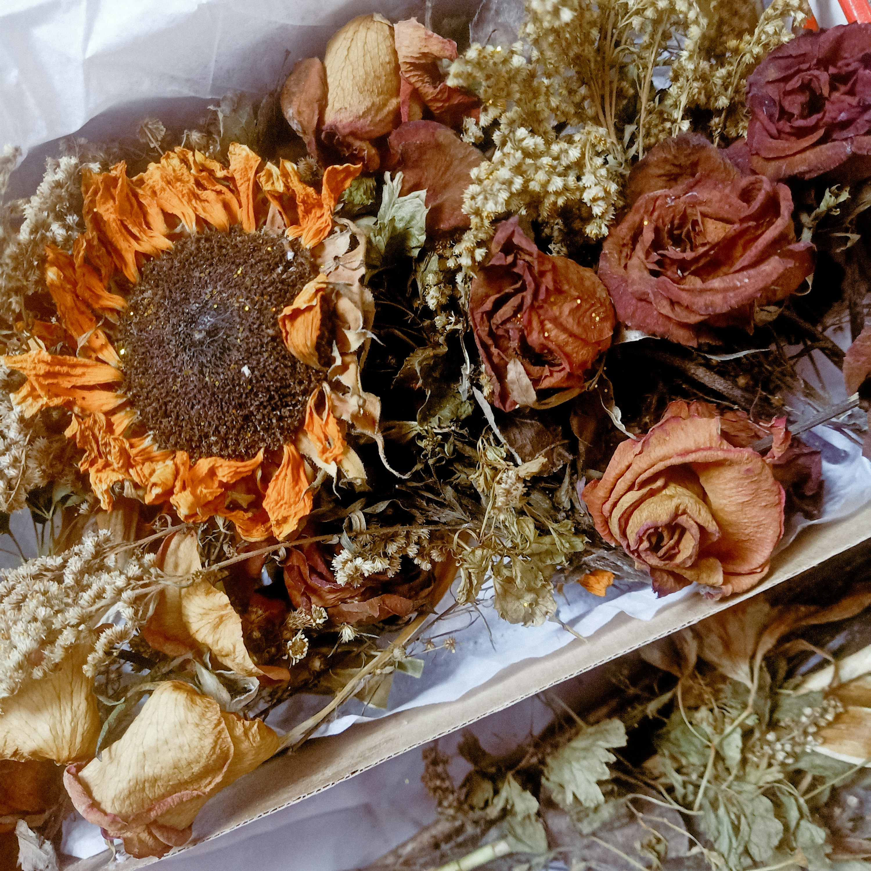 Eternal Beauty: Understanding Eternal and ...