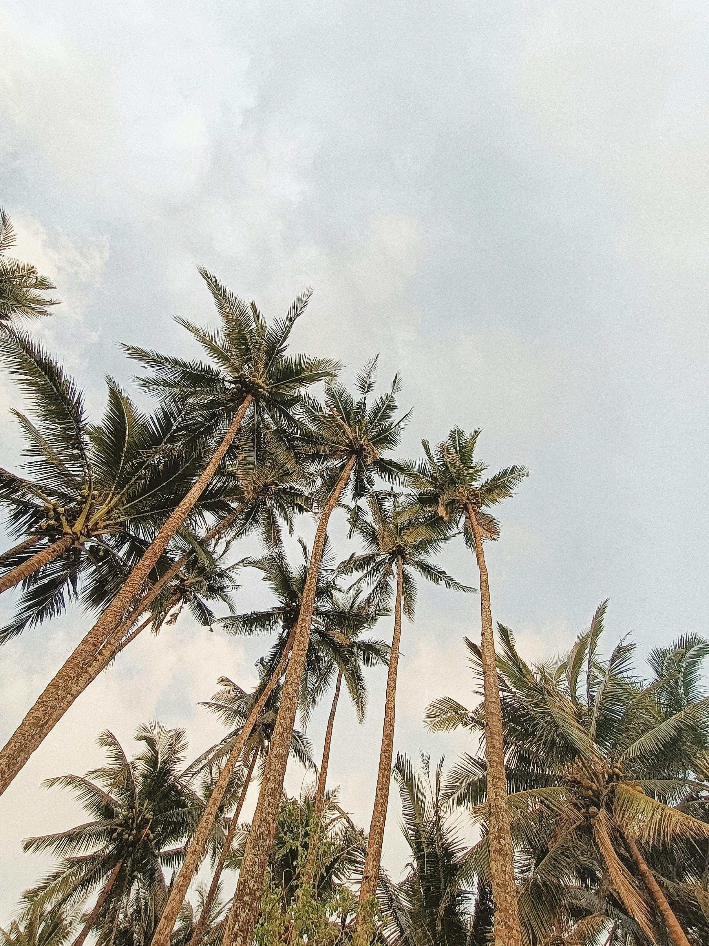 Photo by kchristanne