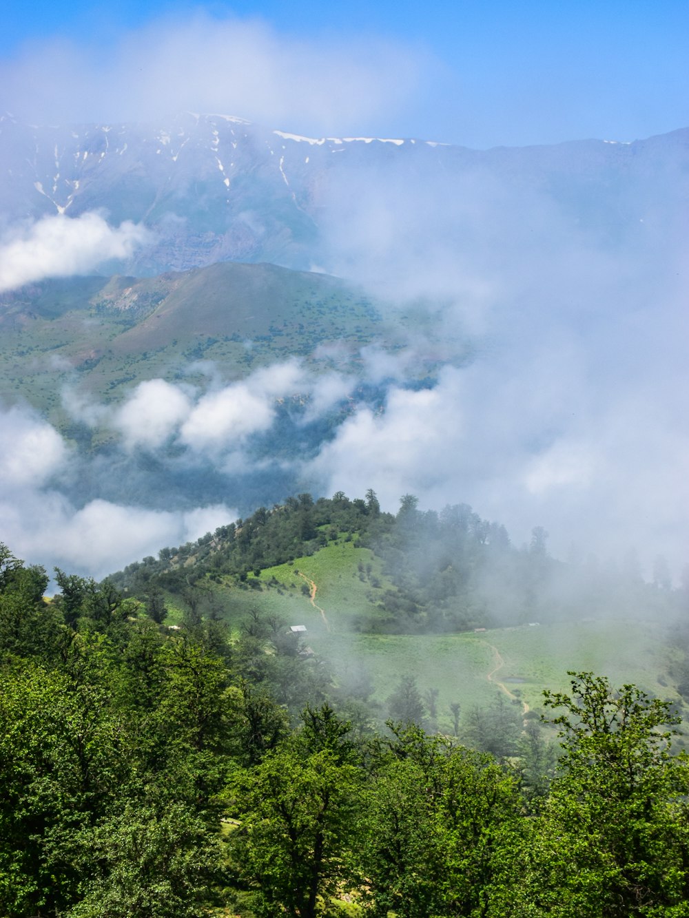 a lush green forest filled with lots of clouds