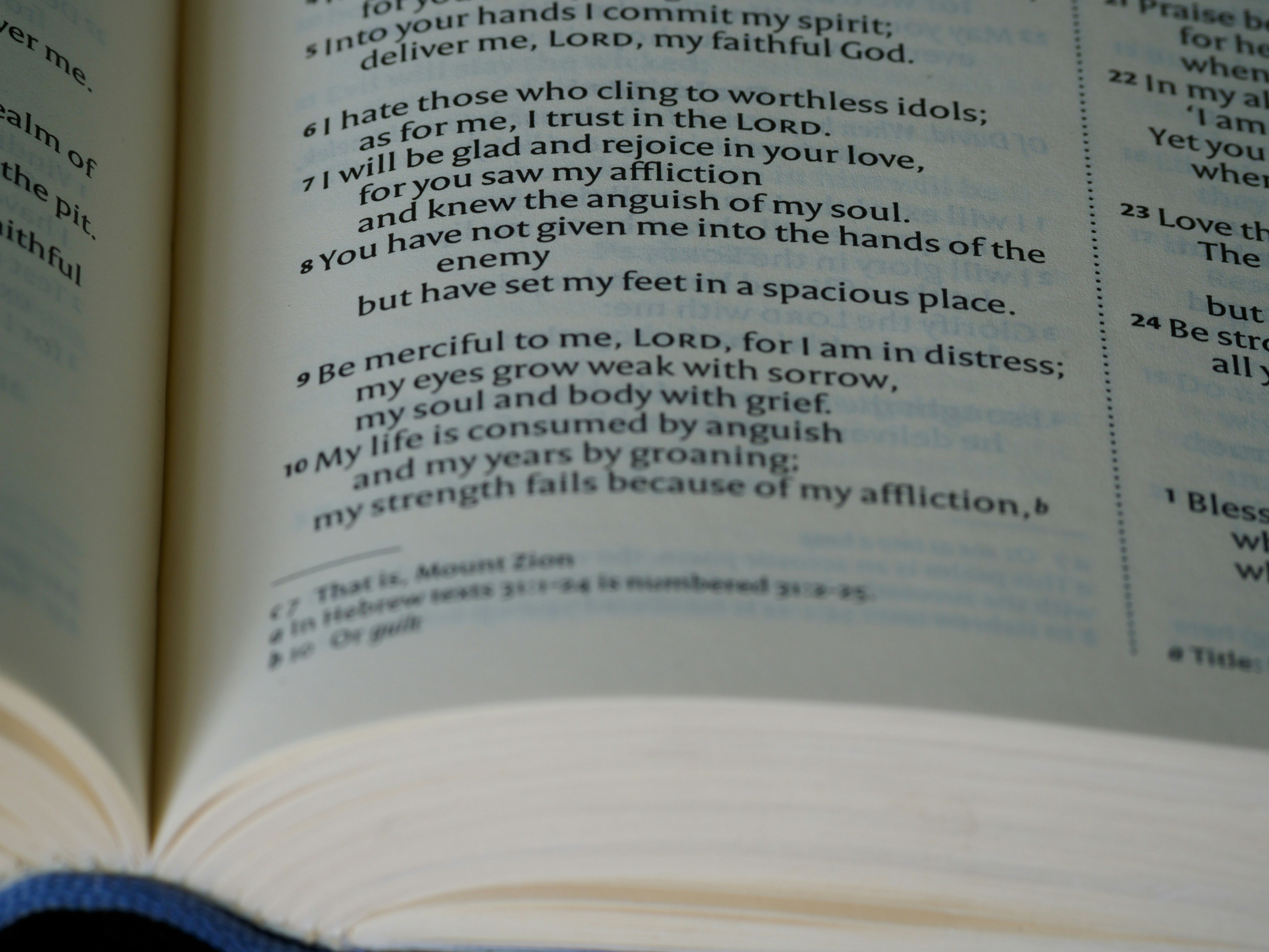 Photo by brett_jordan