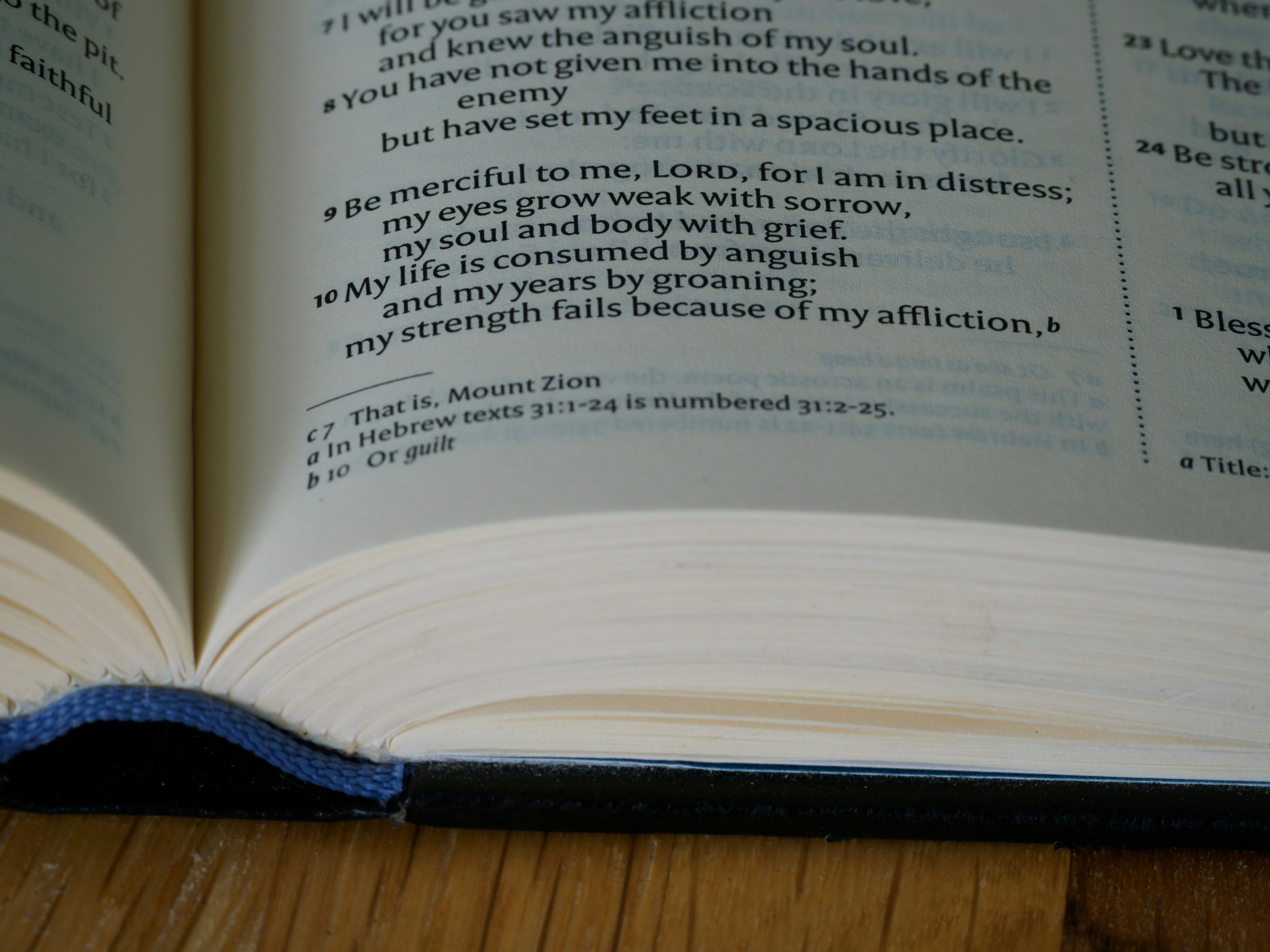 A perfectly bound glued catalog.