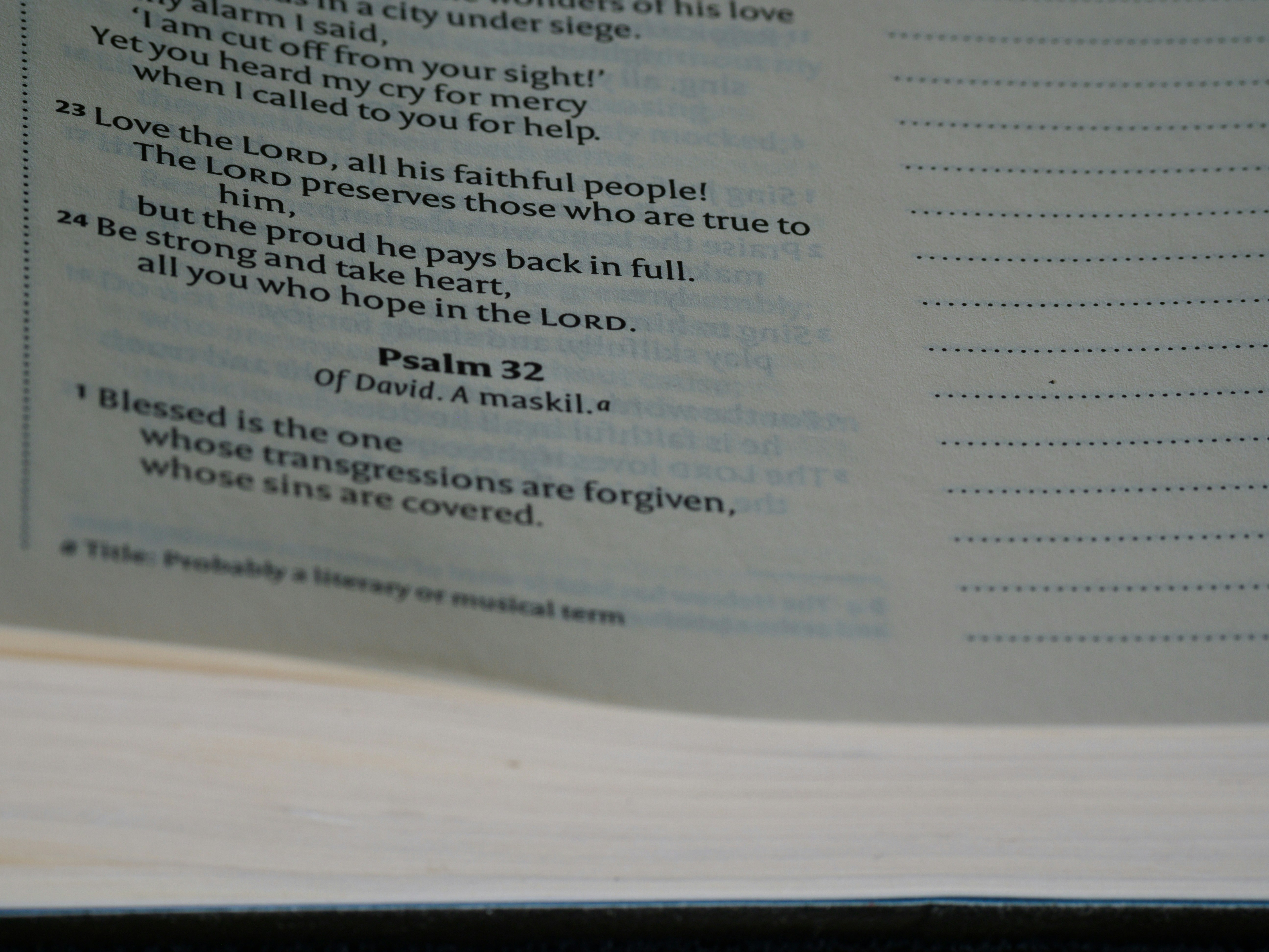 Photo by brett_jordan