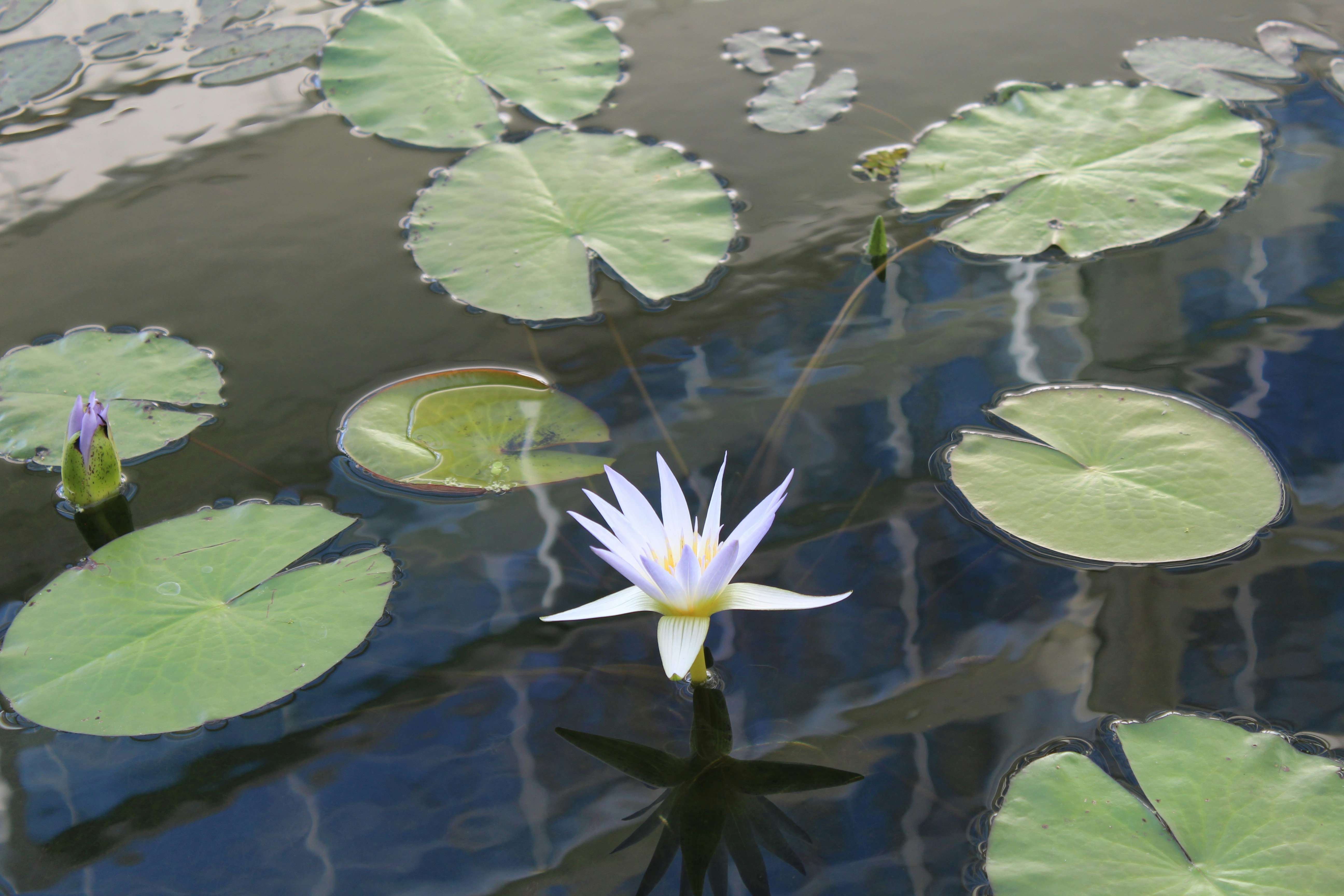 Photo by marina_yalanska