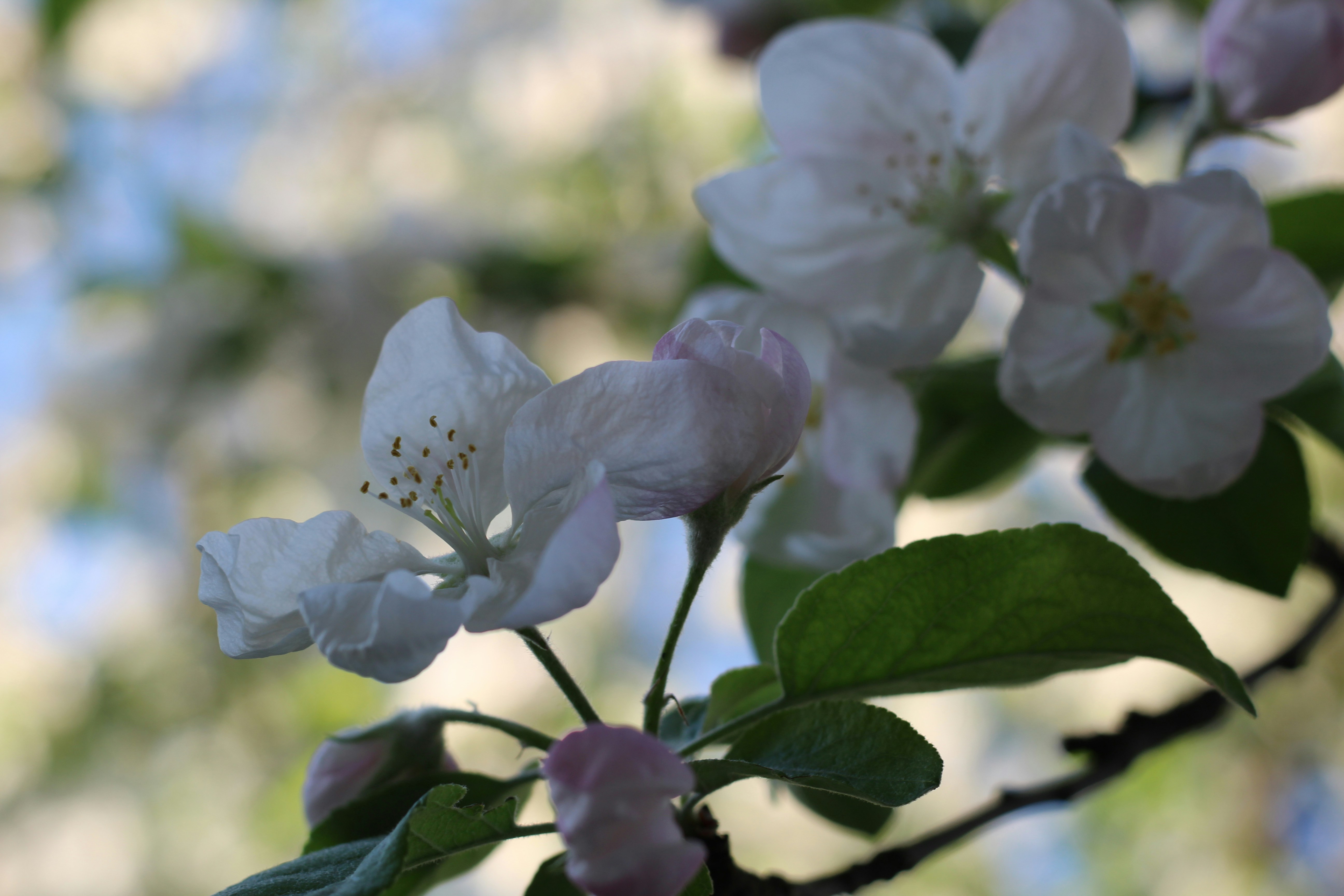 Photo by marina_yalanska