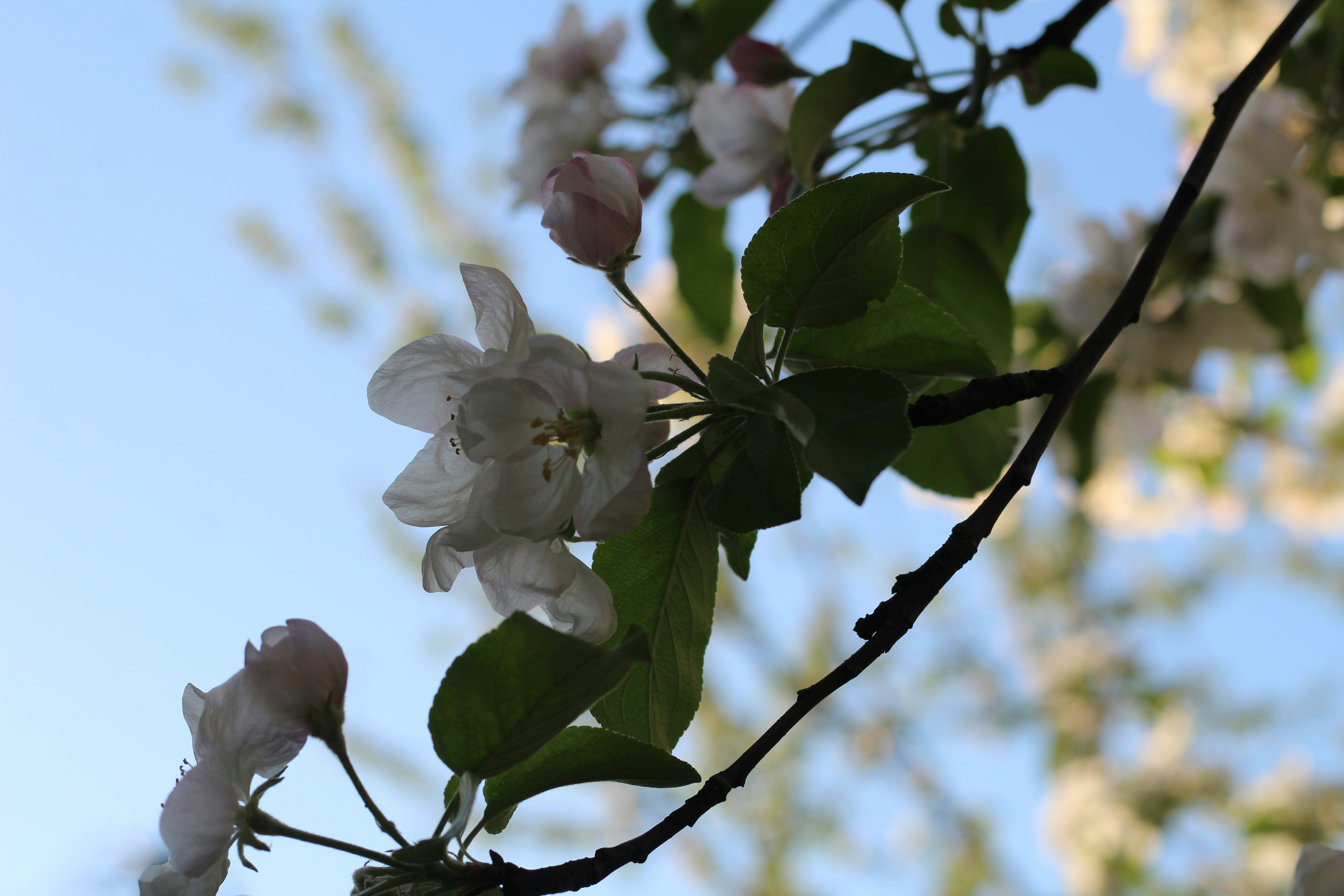 Photo by marina_yalanska