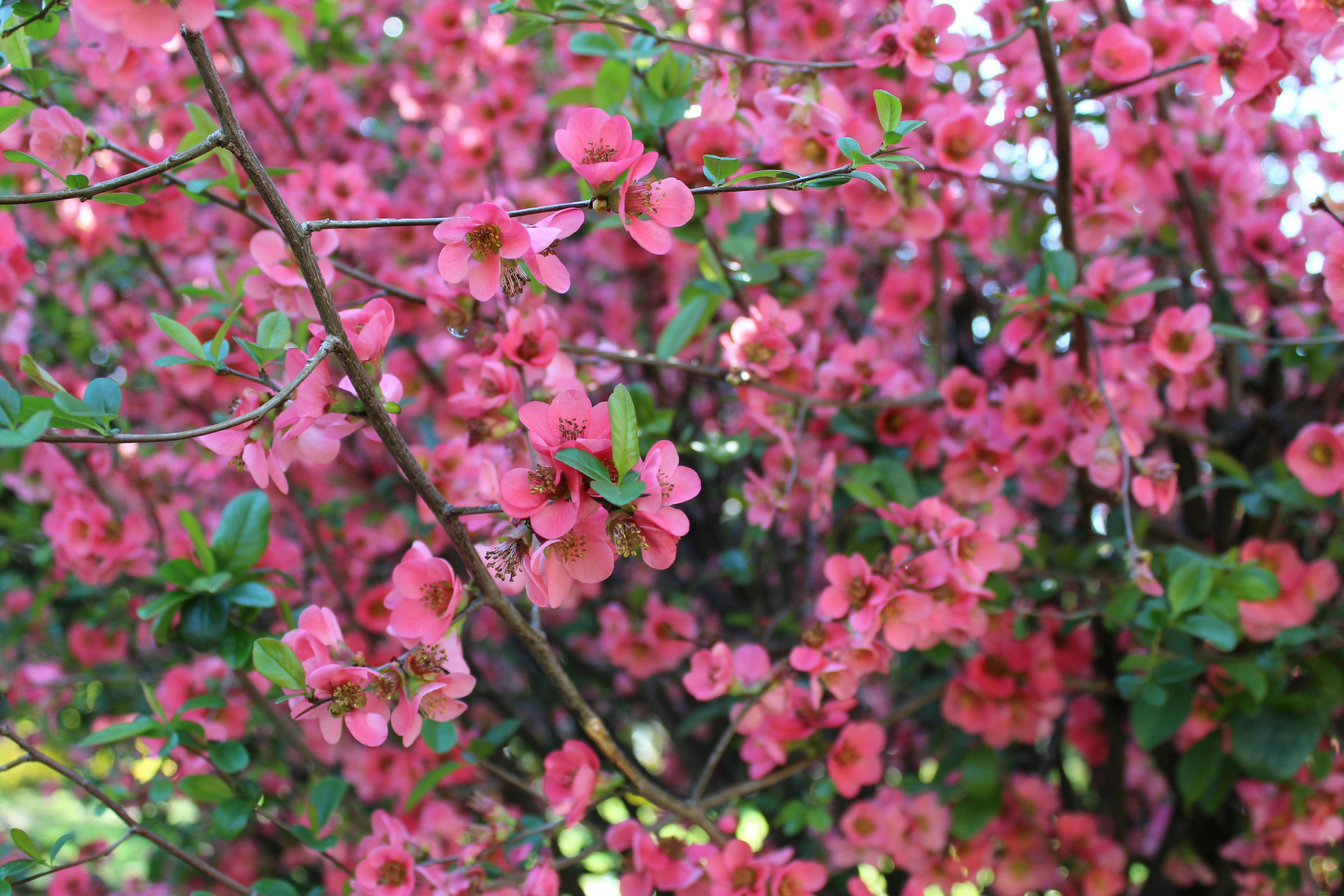 Photo by marina_yalanska