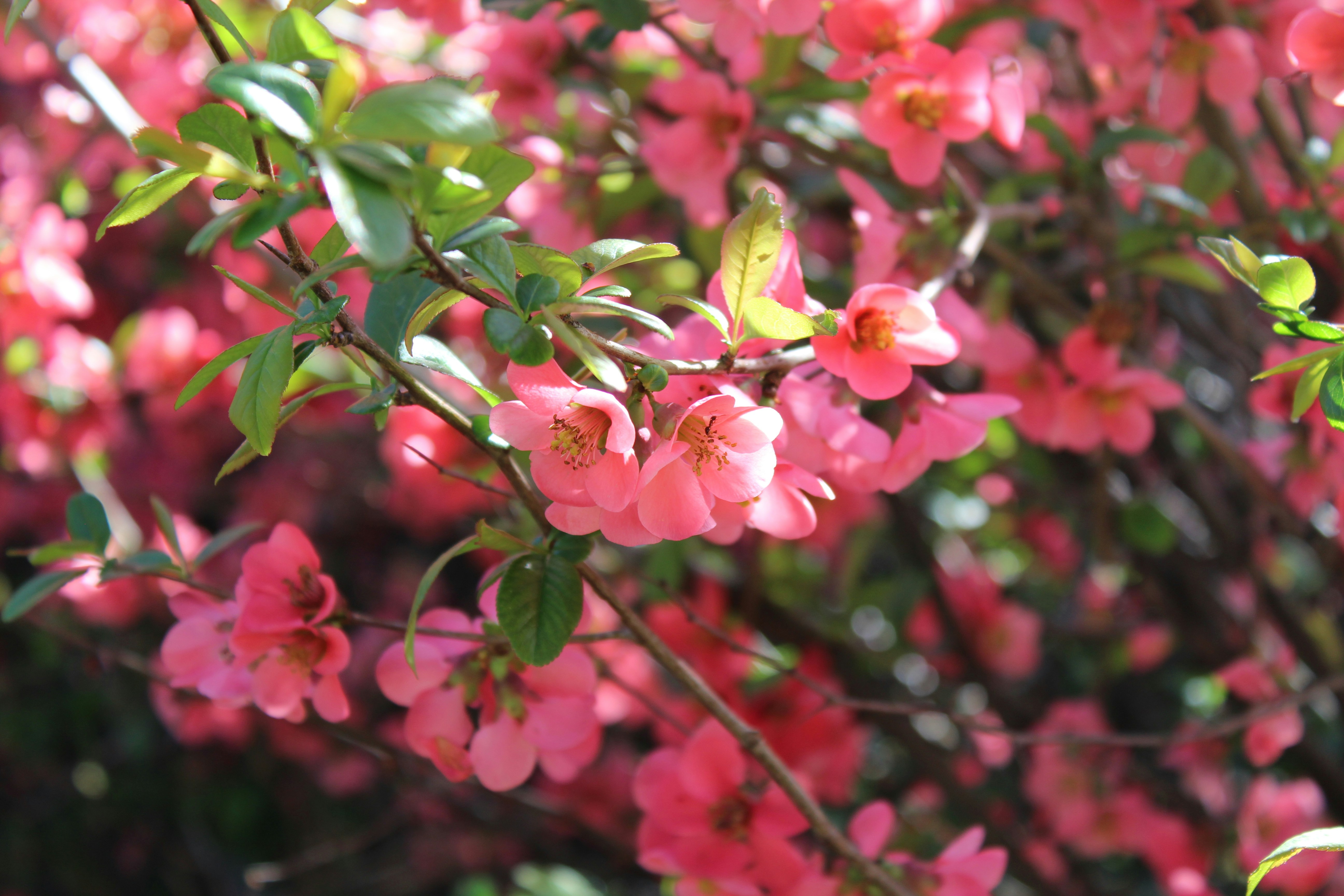 Photo by marina_yalanska