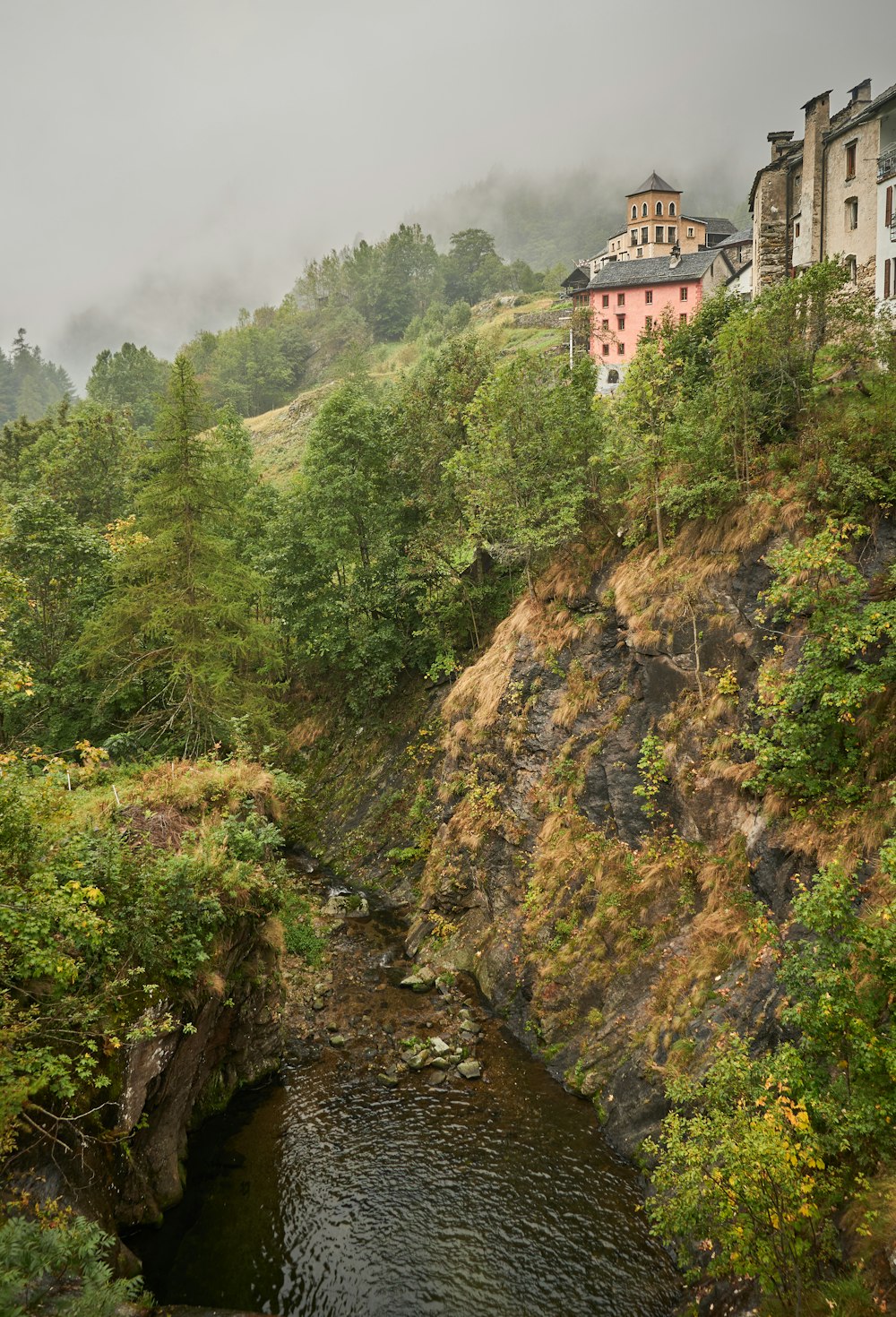 a river running through a lush green forest