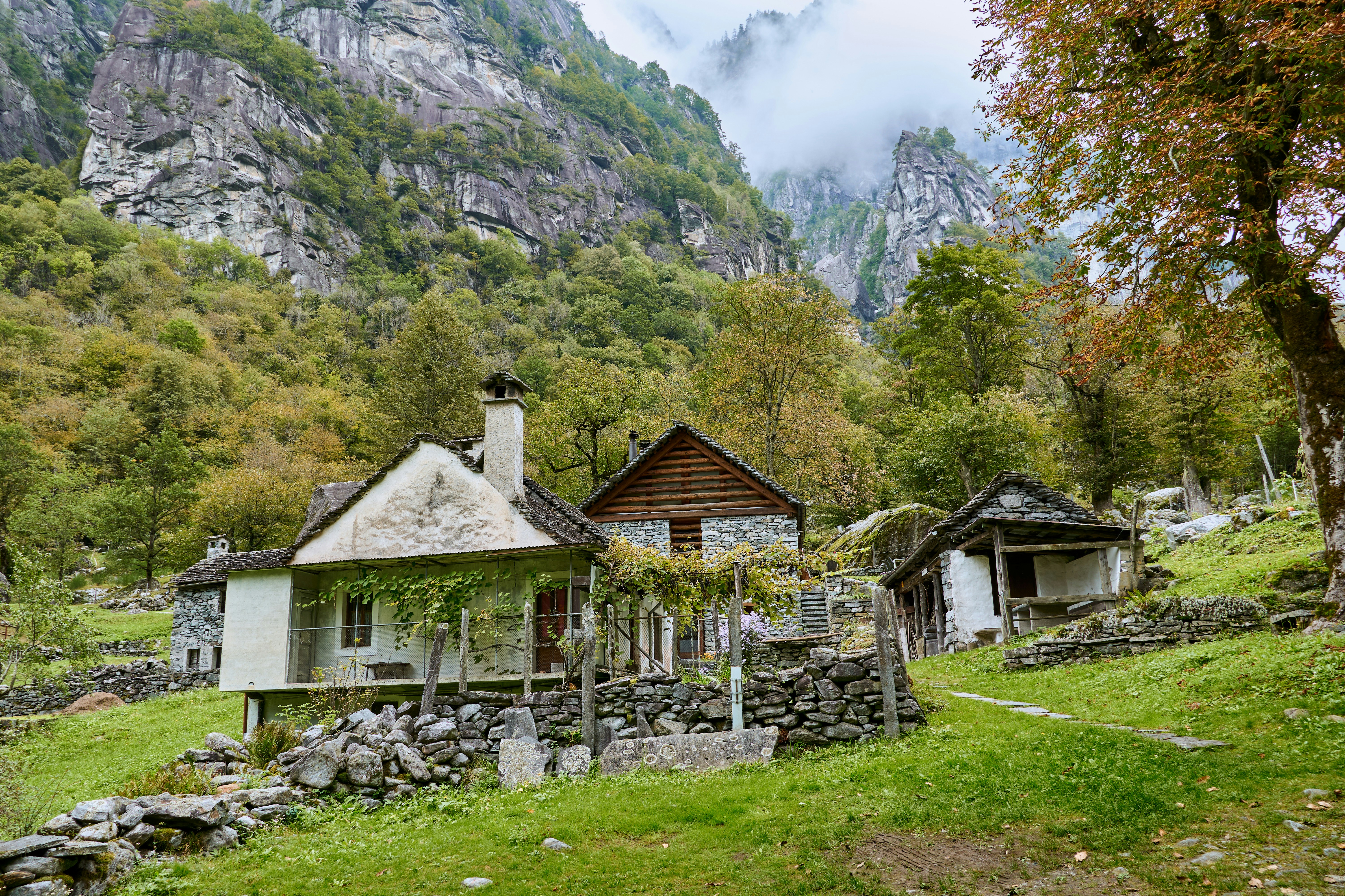 Photo by peter_borter