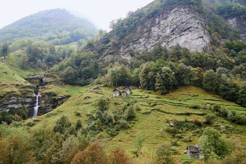 a lush green hillside with a waterfall in the distance