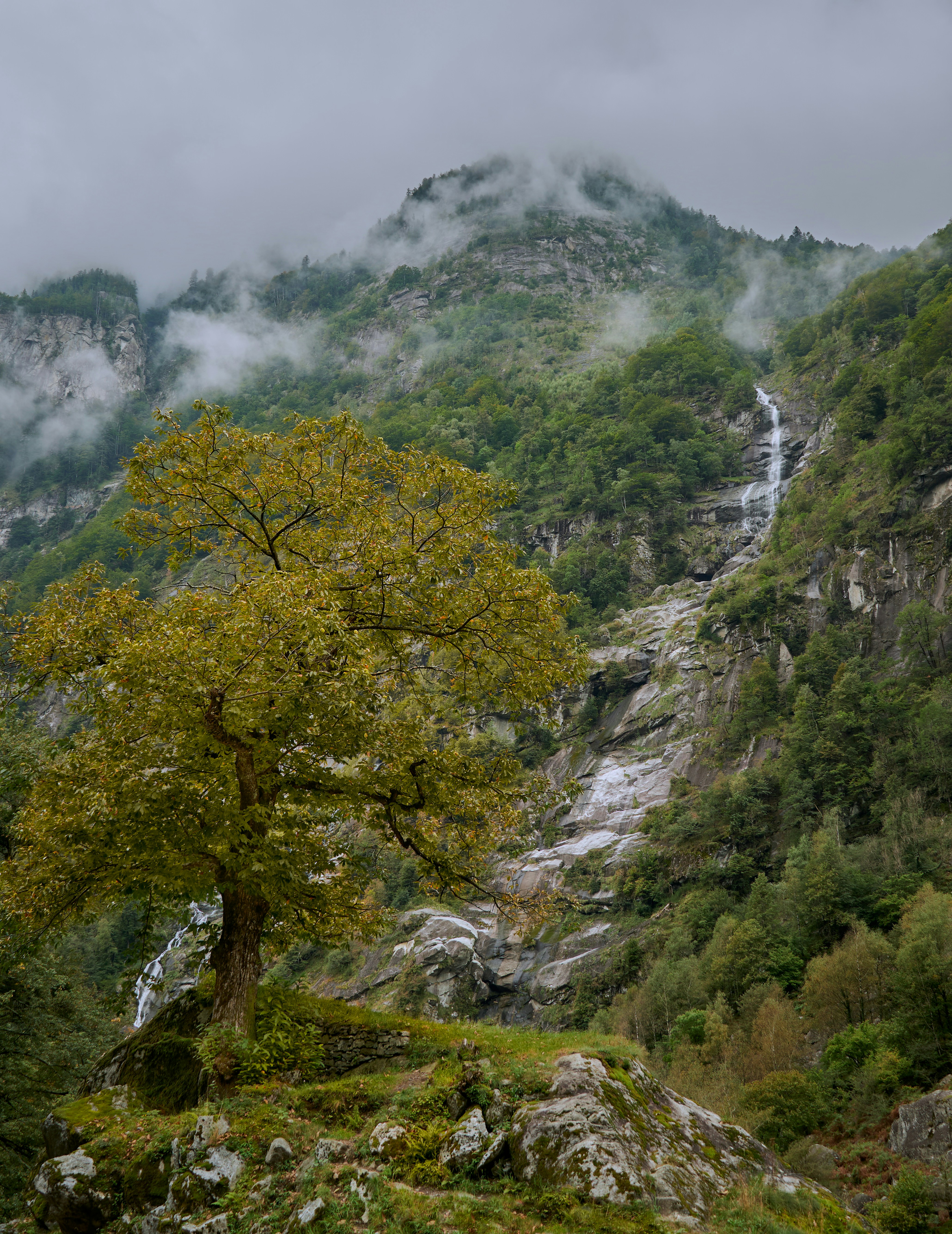 Photo by peter_borter