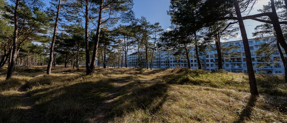 a building in the middle of a forest