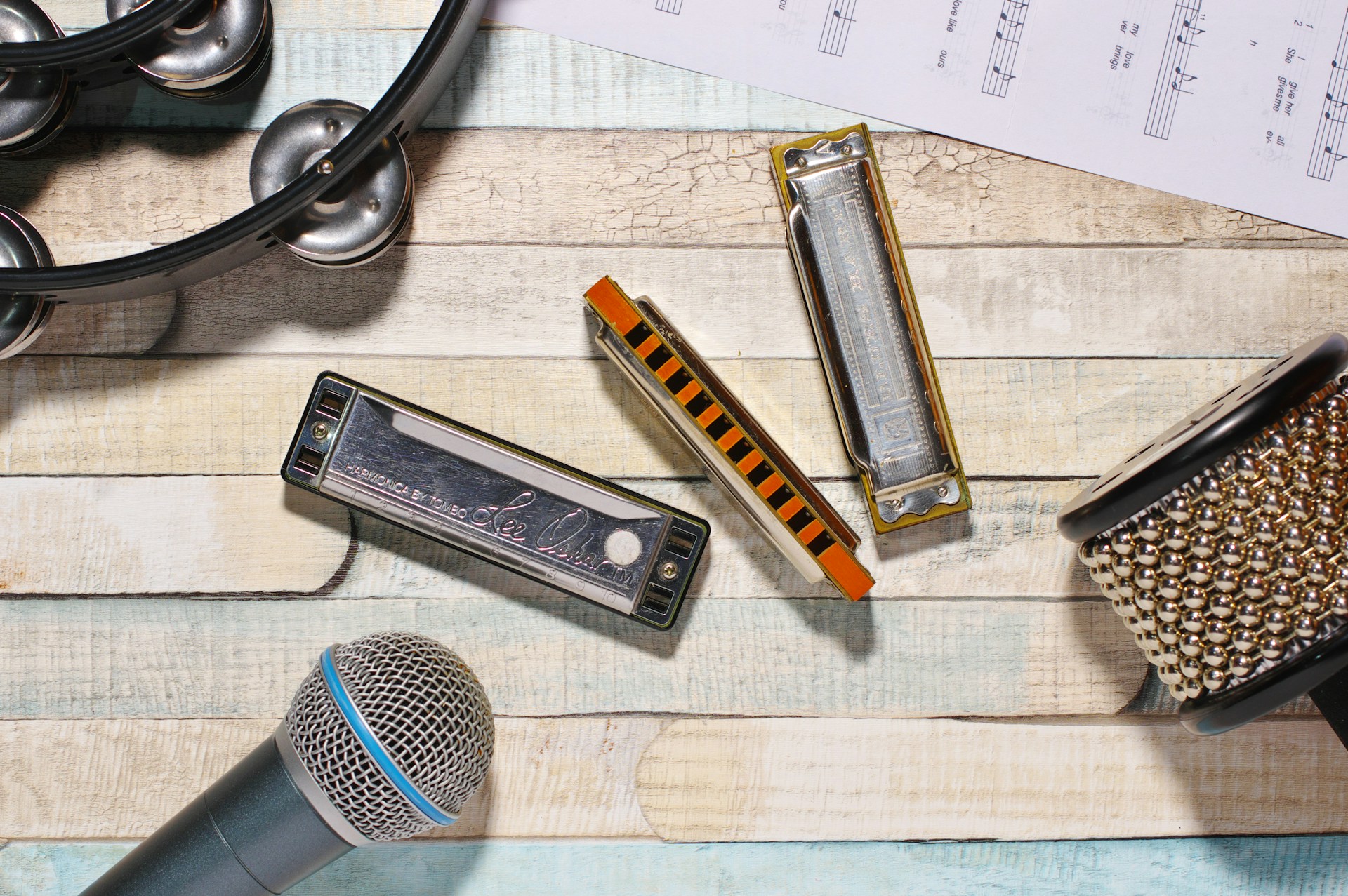 Top Harmonica Lessons and Teachers in L.A.