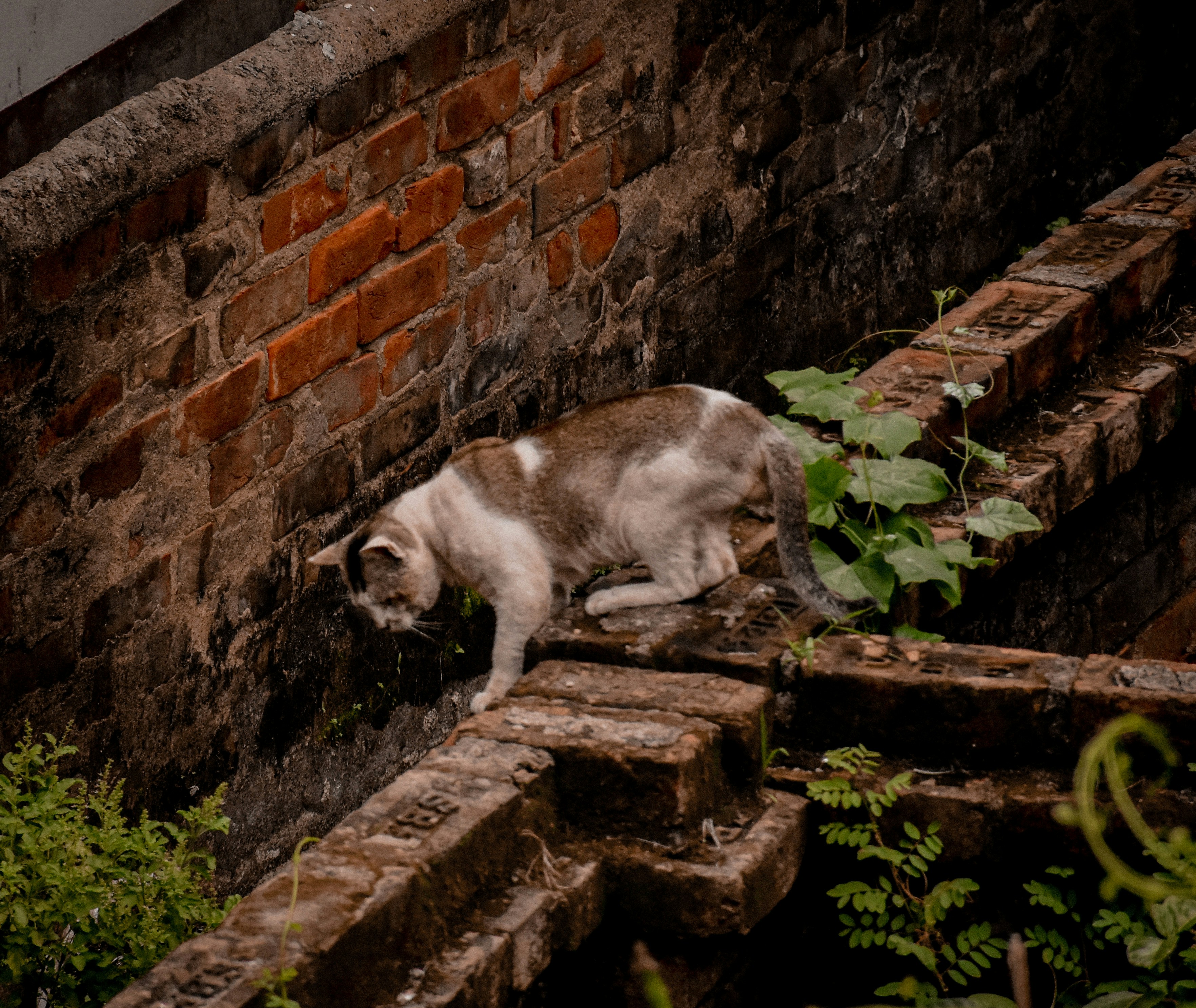 Photo by ankita_clicks