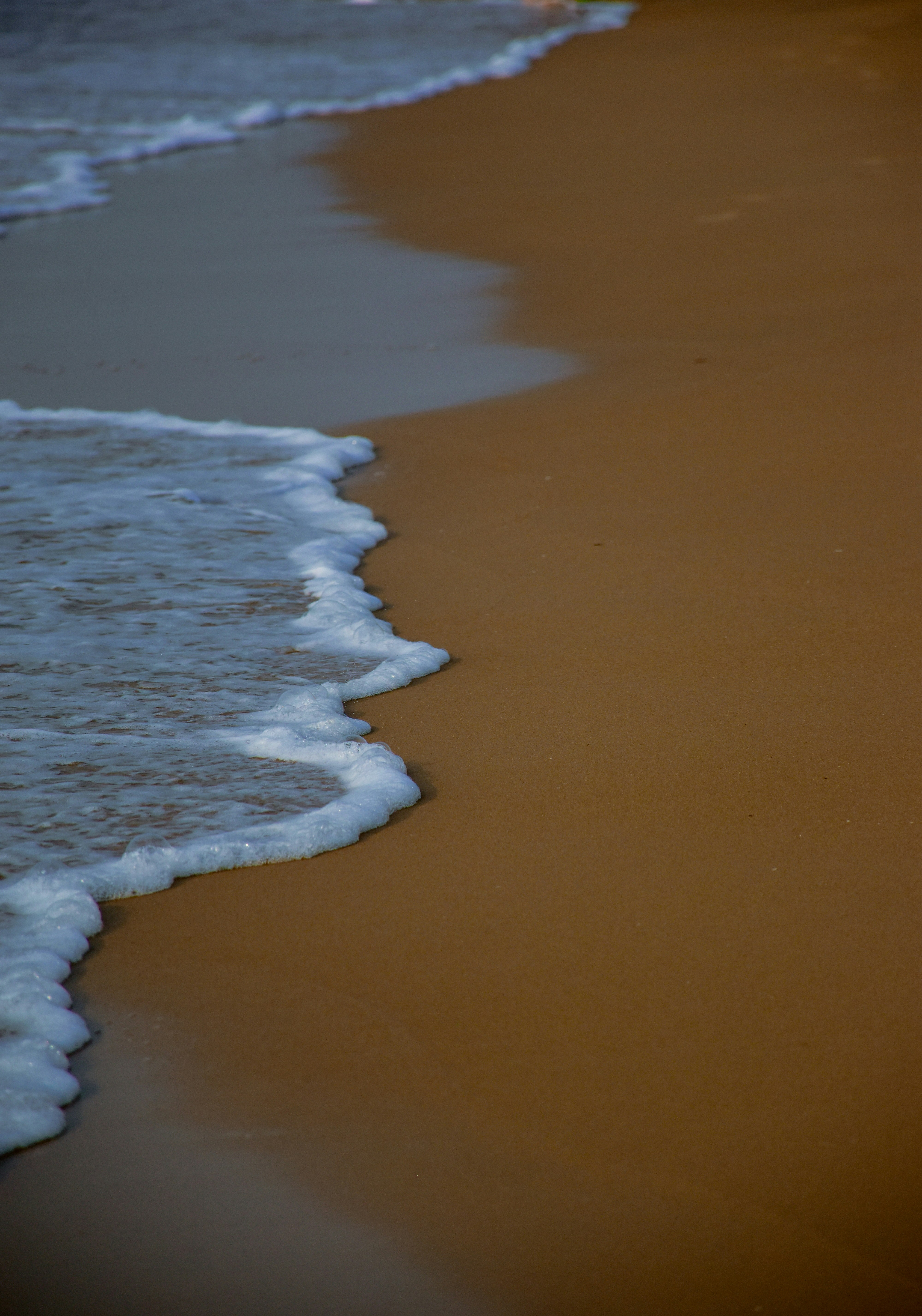 Photo by ankita_clicks