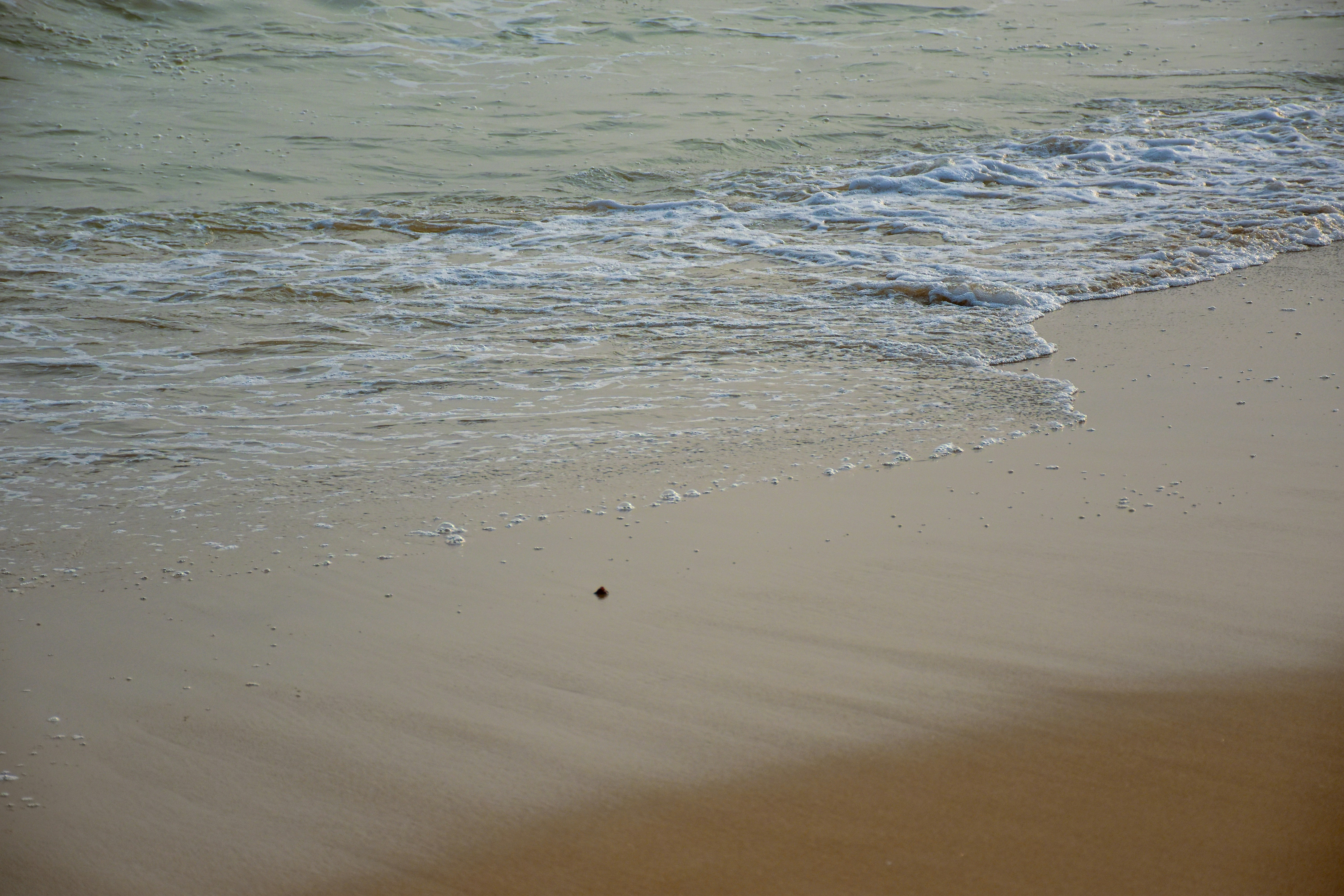 Photo by ankita_clicks