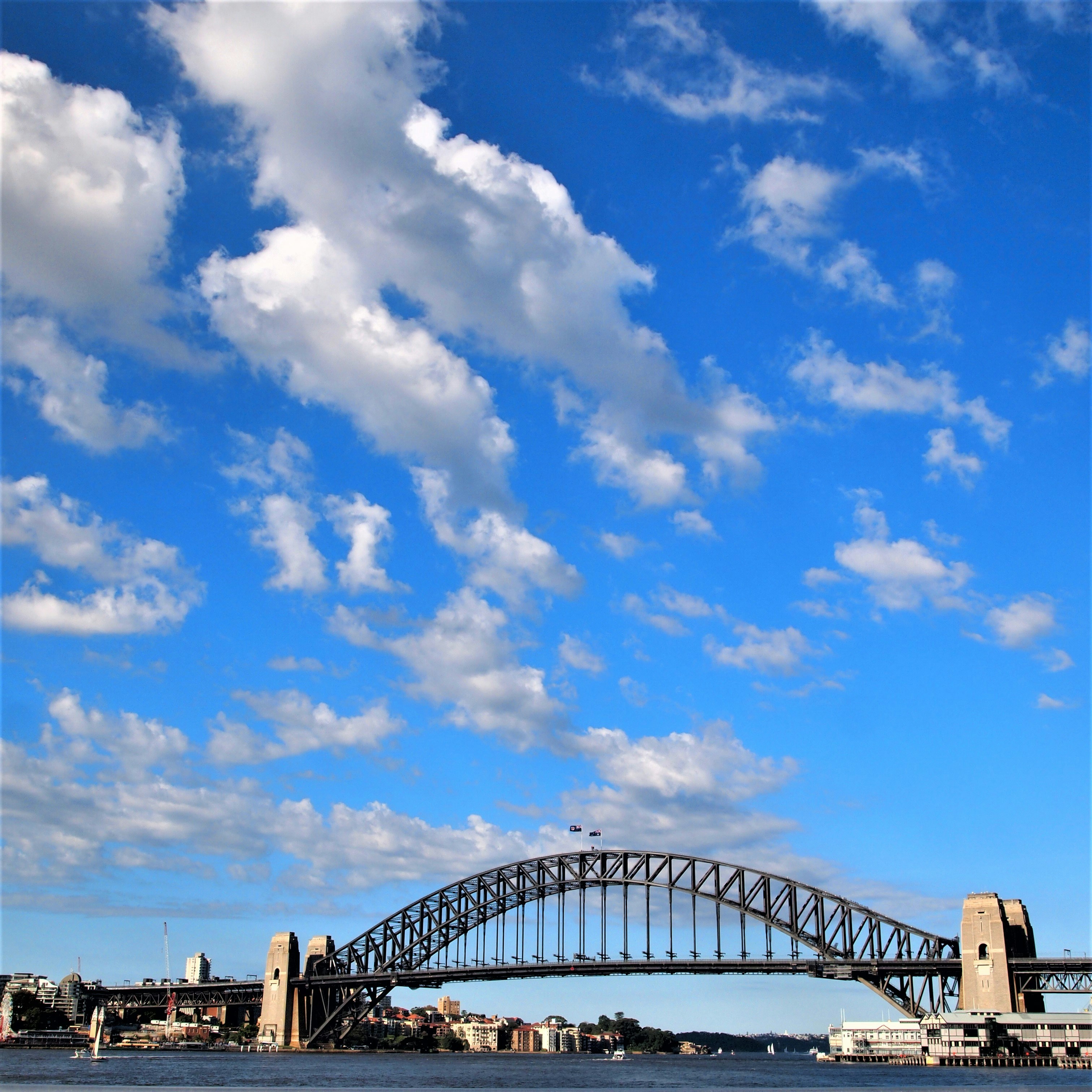 Photo by bluephoto118