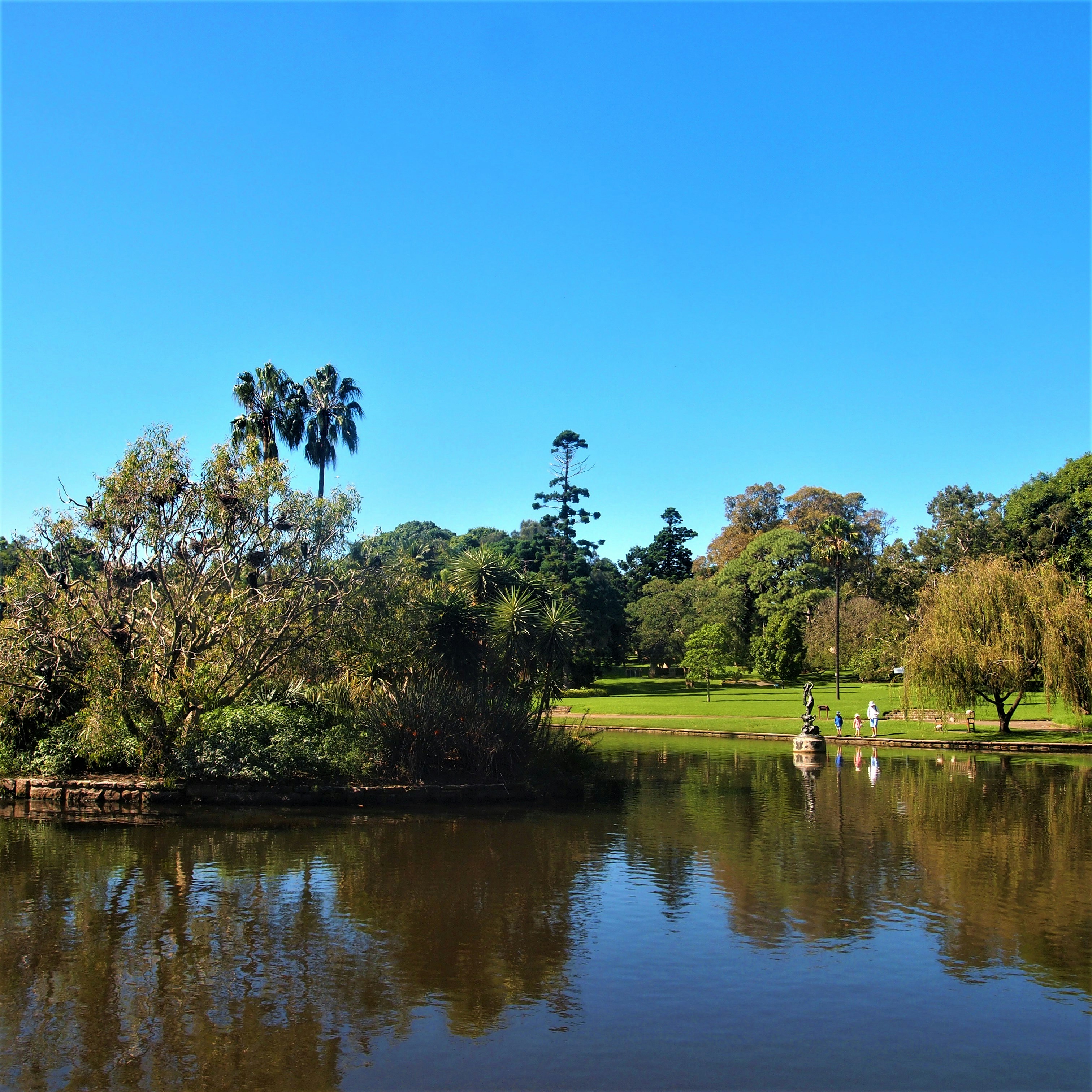 Photo by bluephoto118