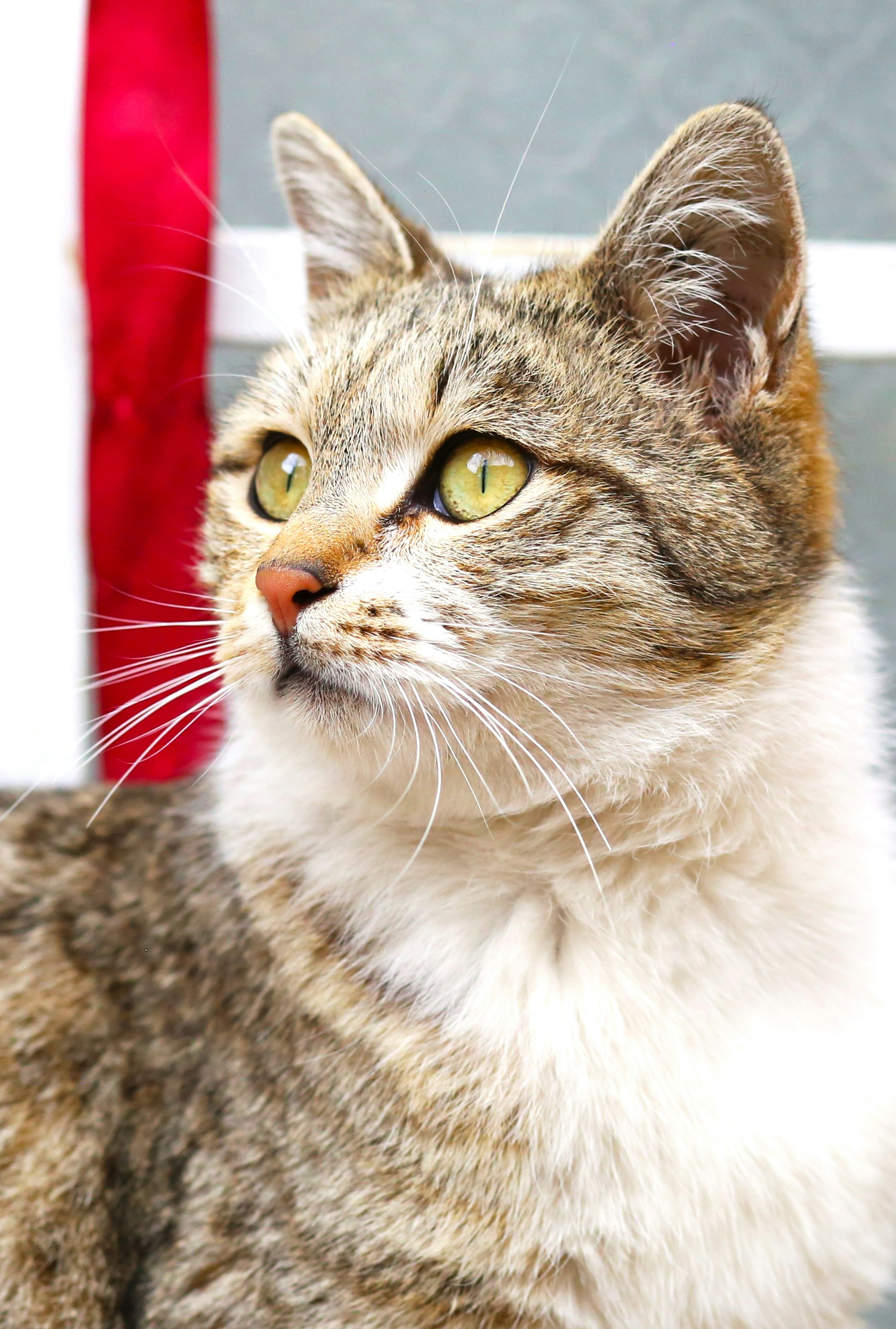 Photo by kimiya_all96