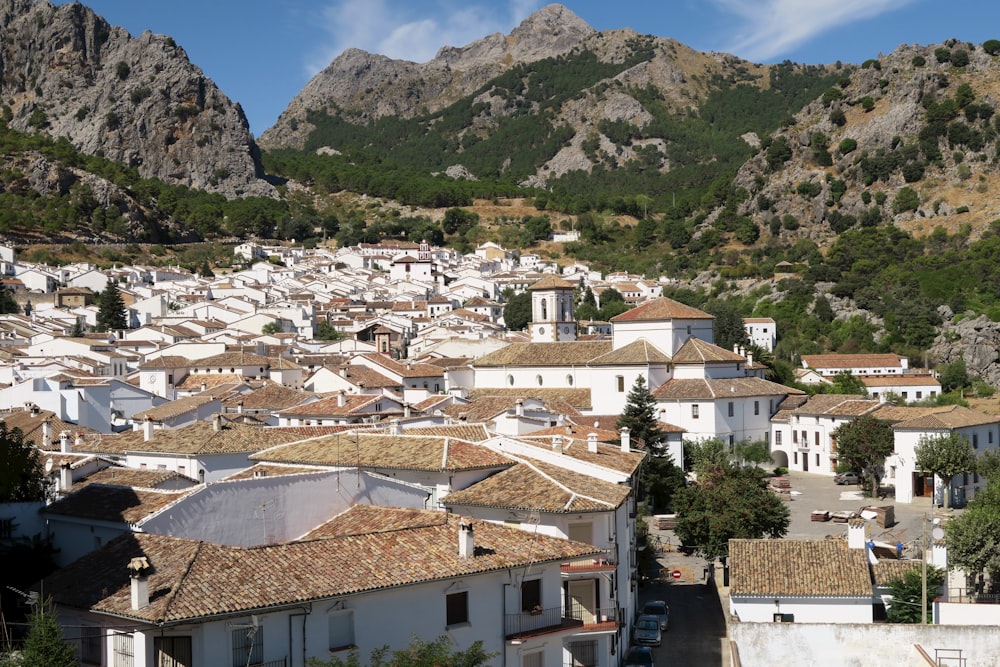 a view of a village with mountains in the background