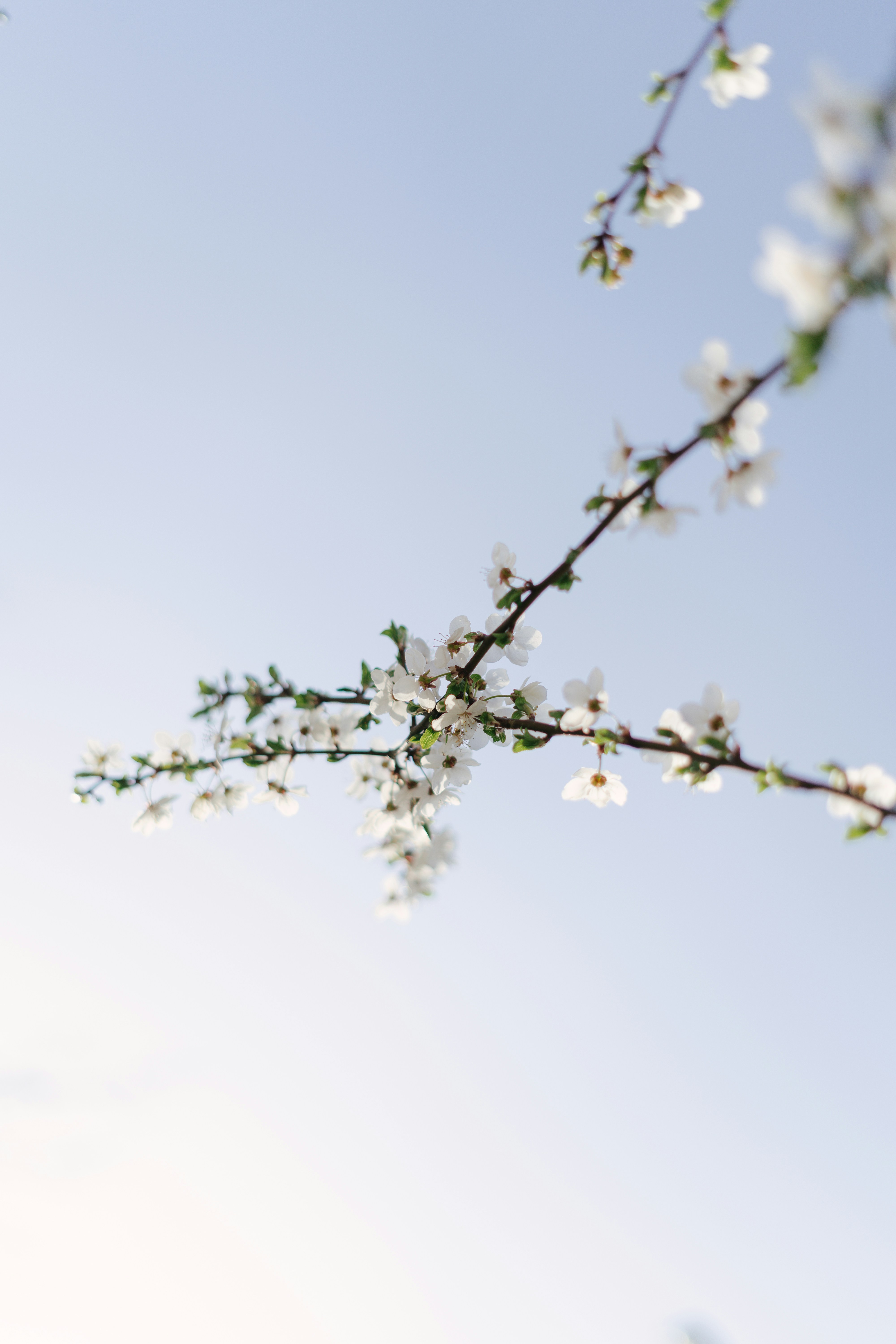 Photo by albina___white