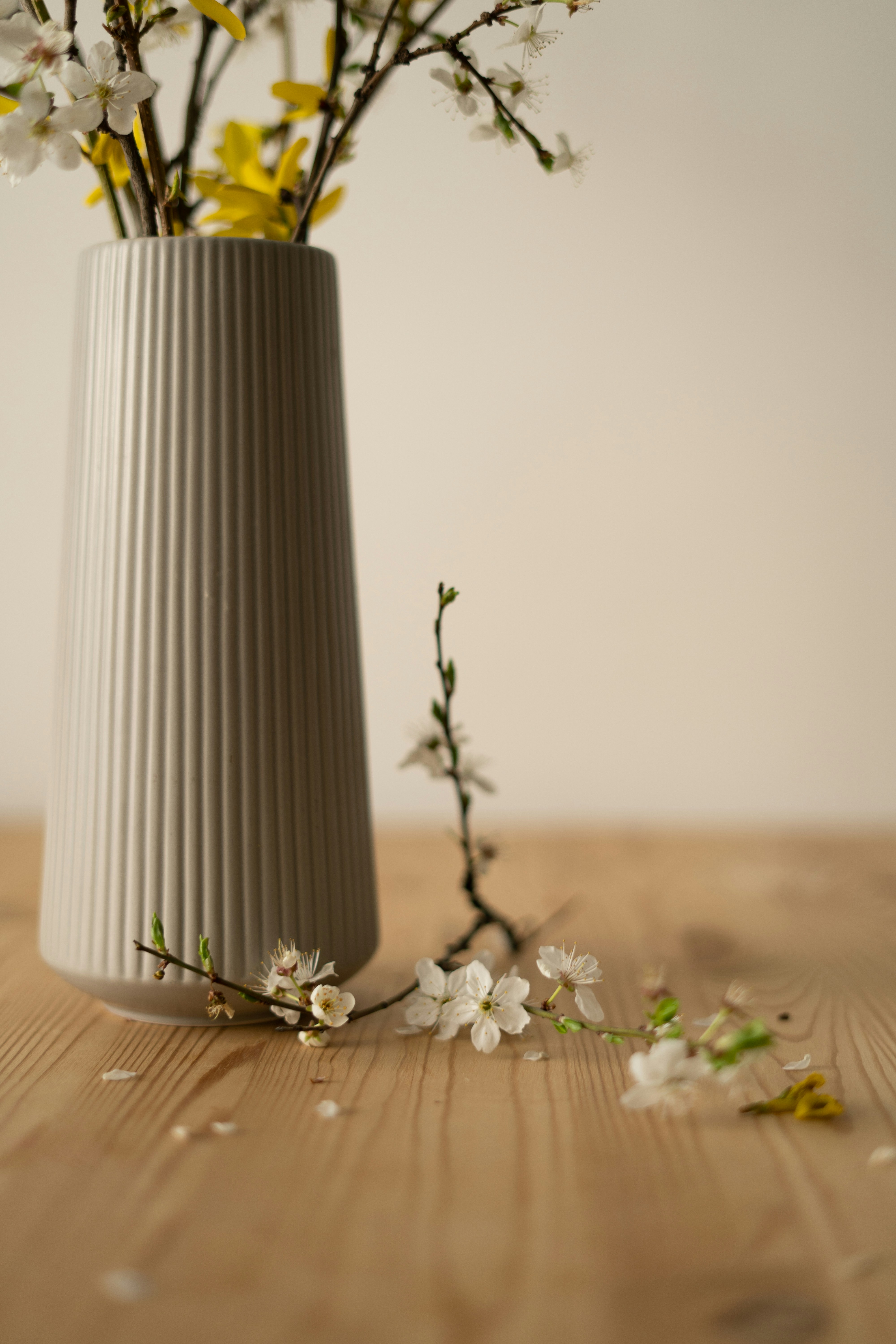 A white vase with yellow and white flowers in it photo – Free Grey ...