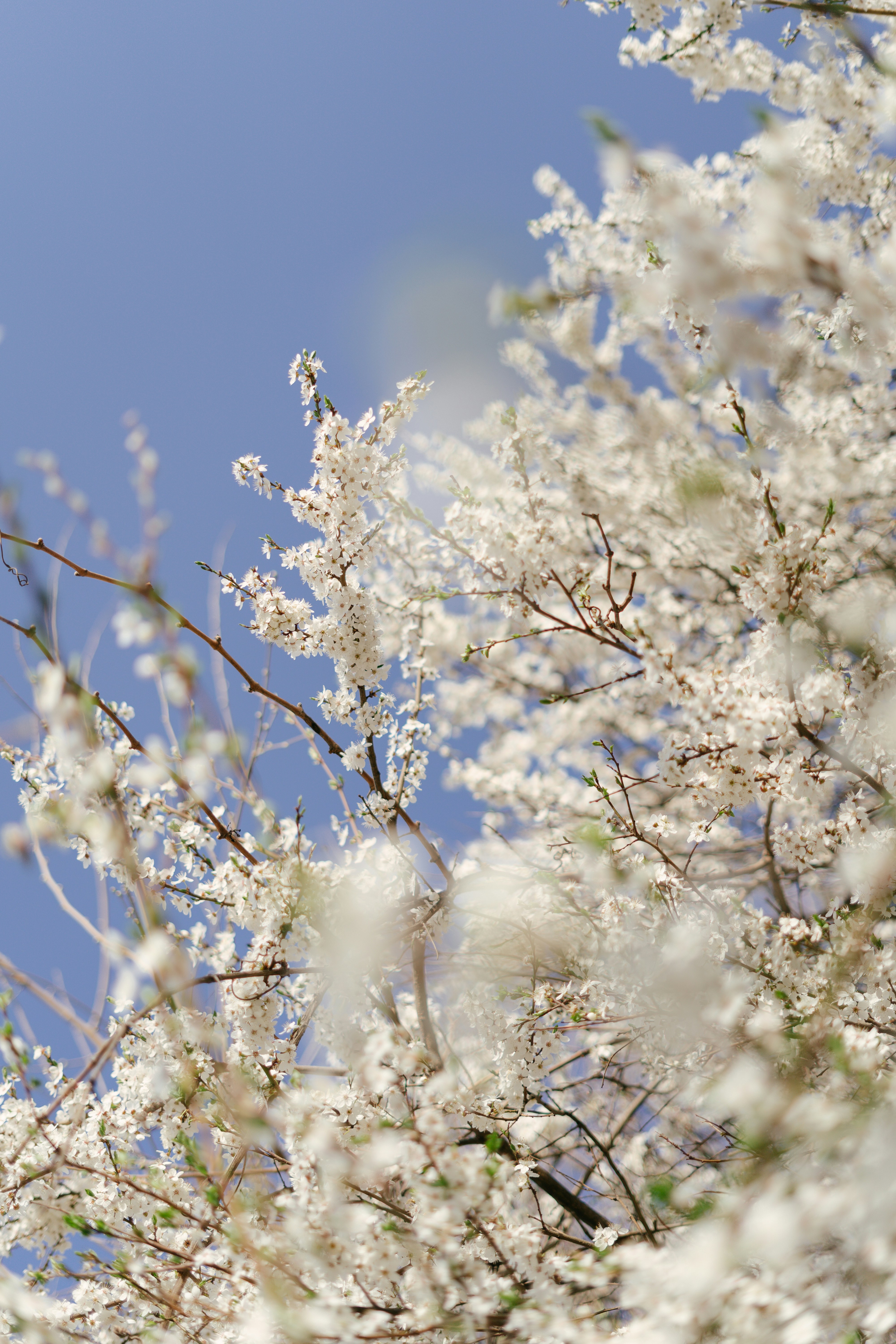 Photo by albina___white