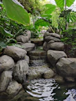 a small pond surrounded by rocks and plants
