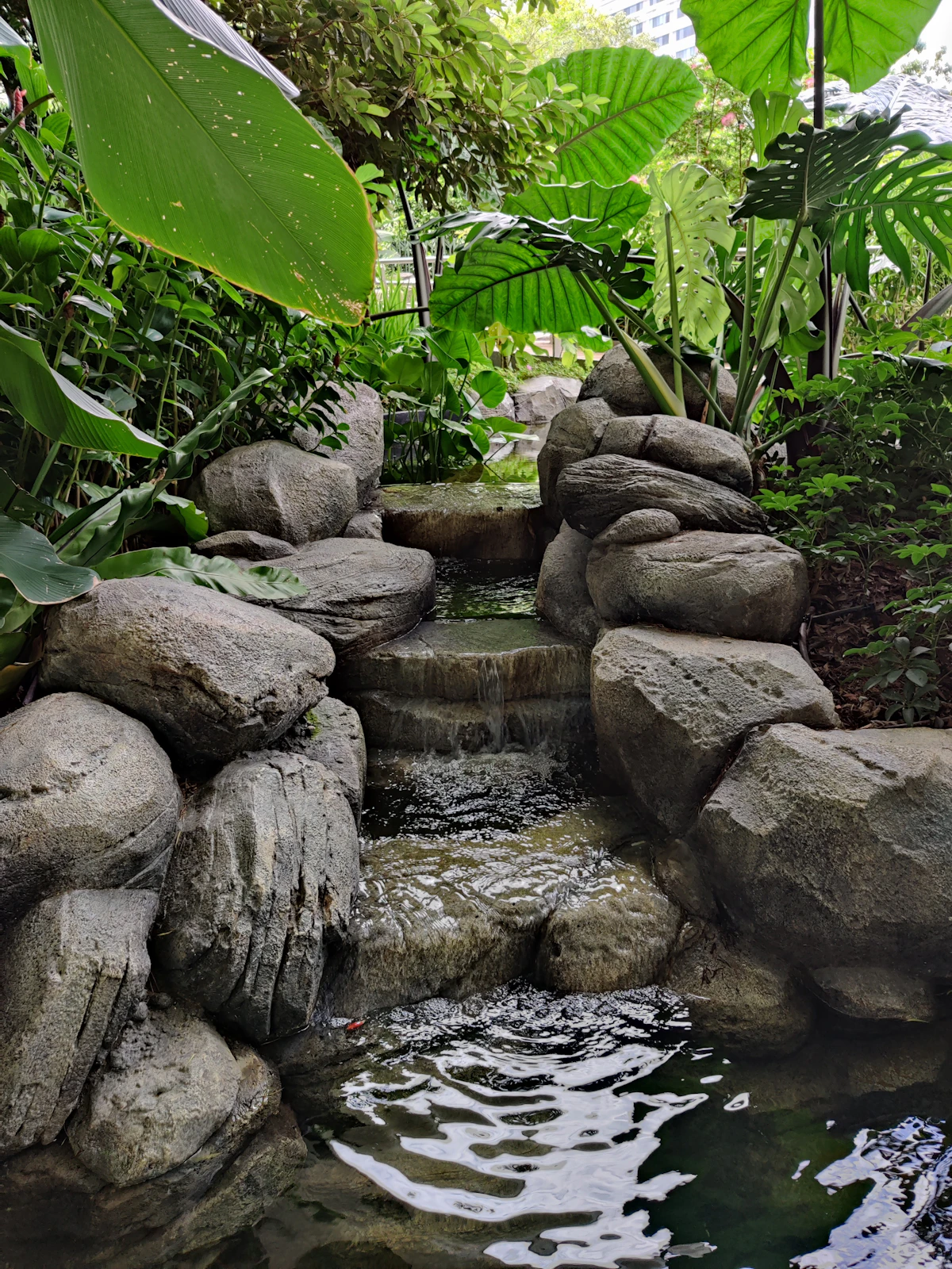 Small landscaped pond