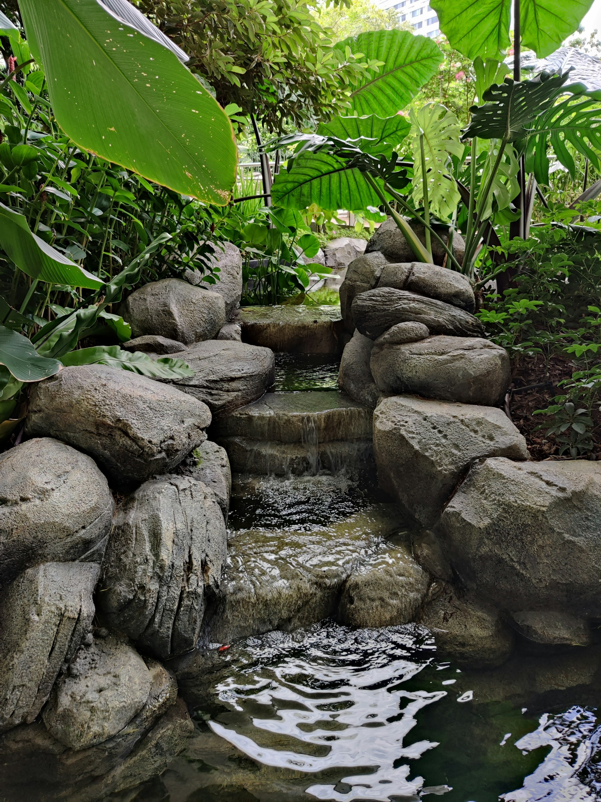 a small pond surrounded by rocks and plants