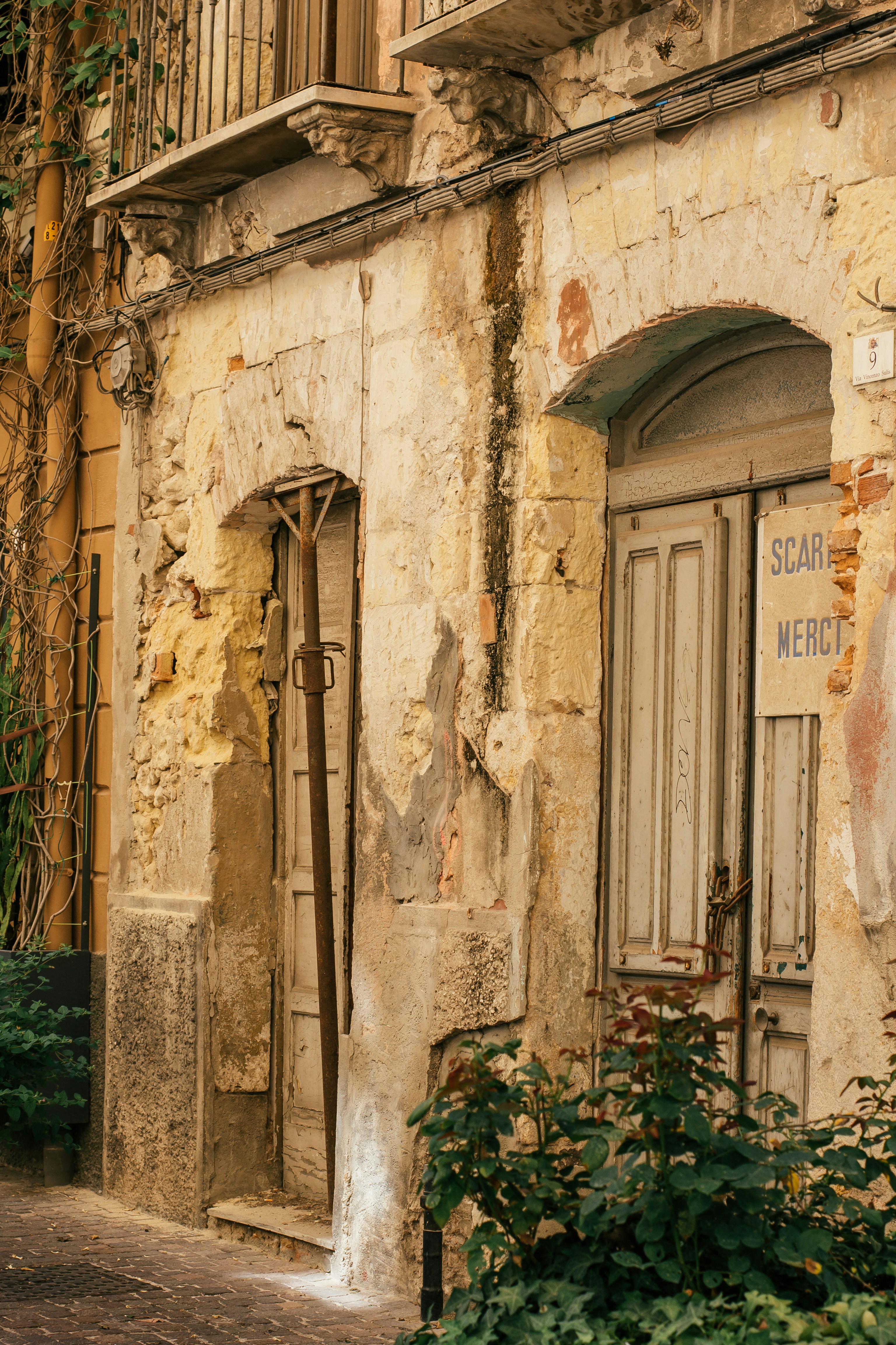 Photo by filizelaerts