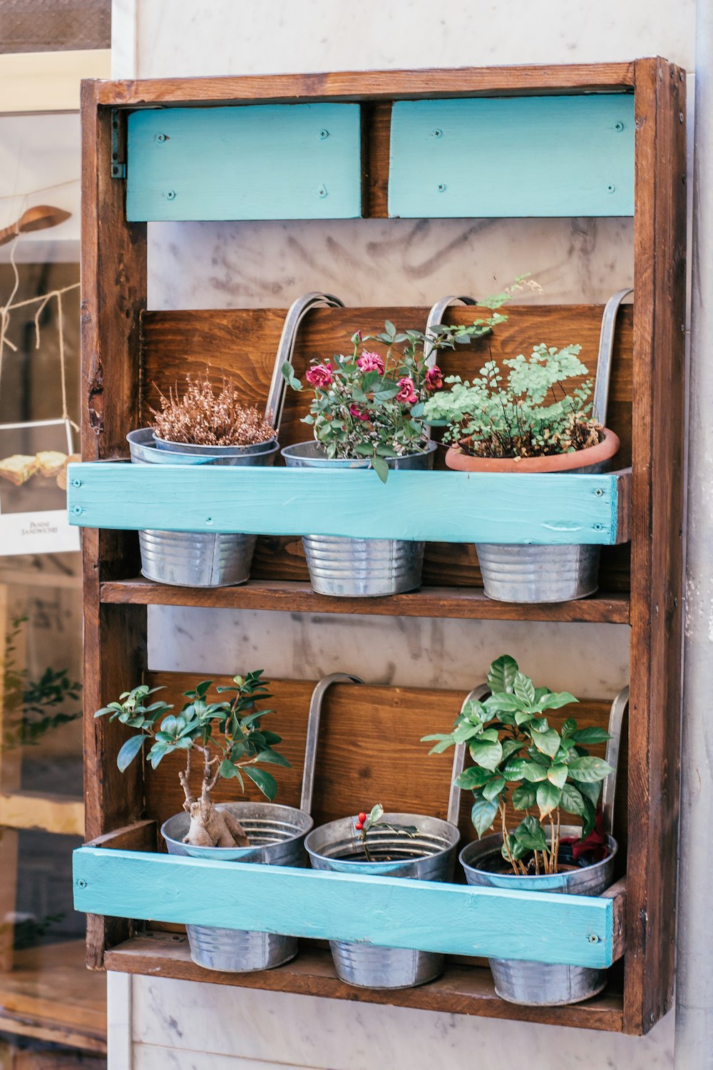 a shelf filled with potted plants on top of a wall