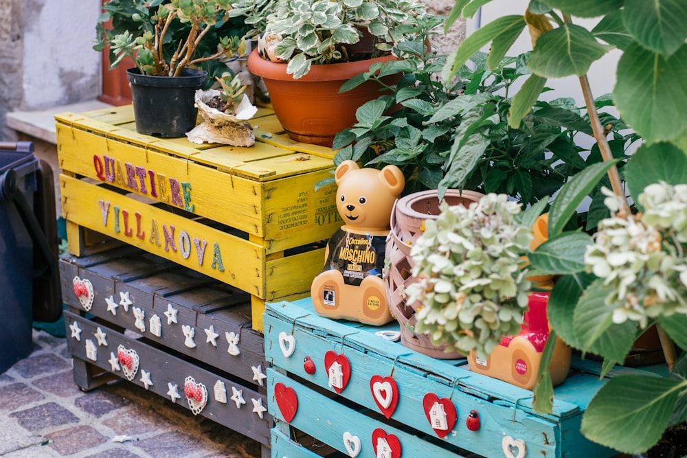 a bunch of plants that are sitting on some crates