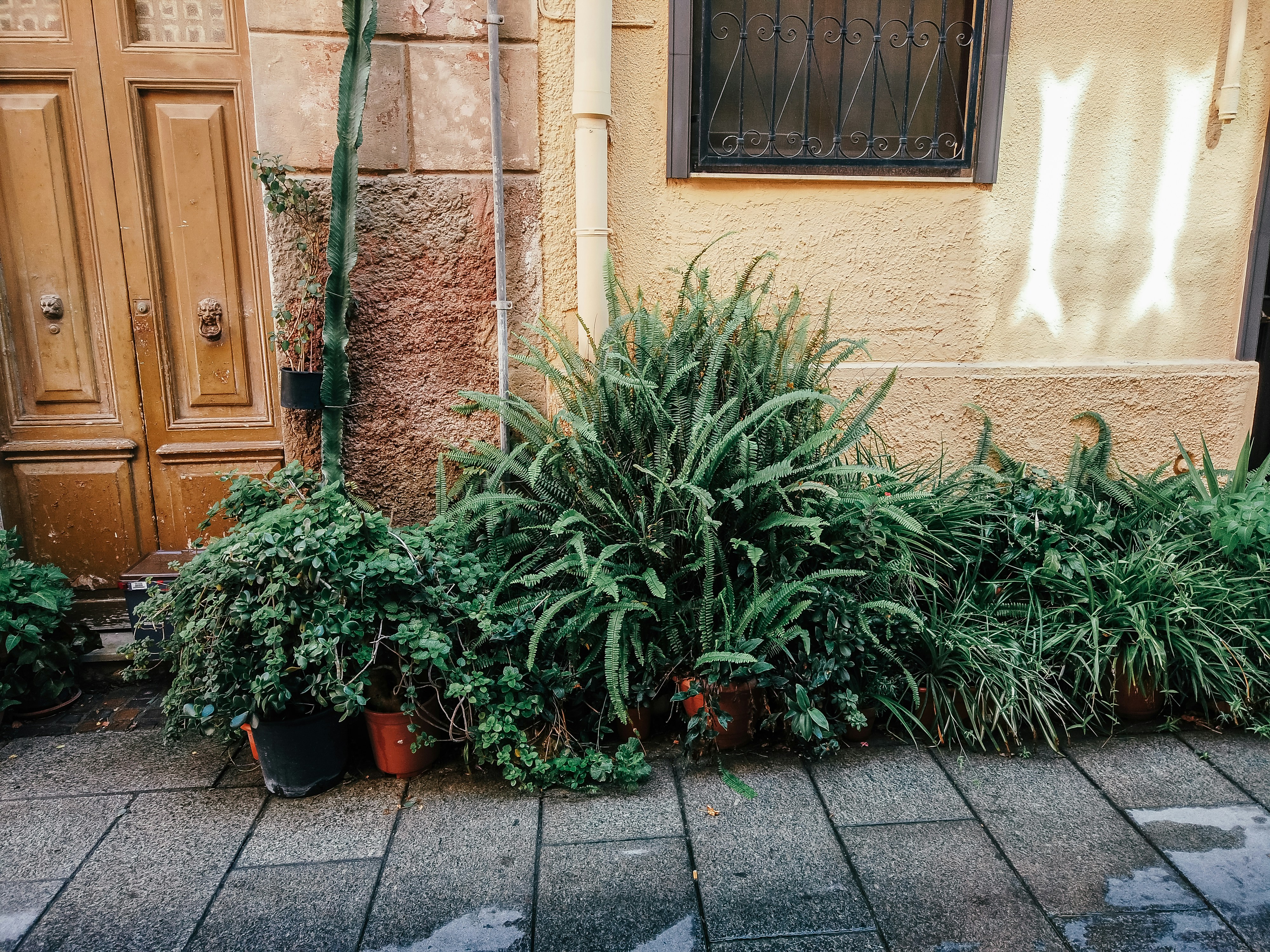Photo by filizelaerts