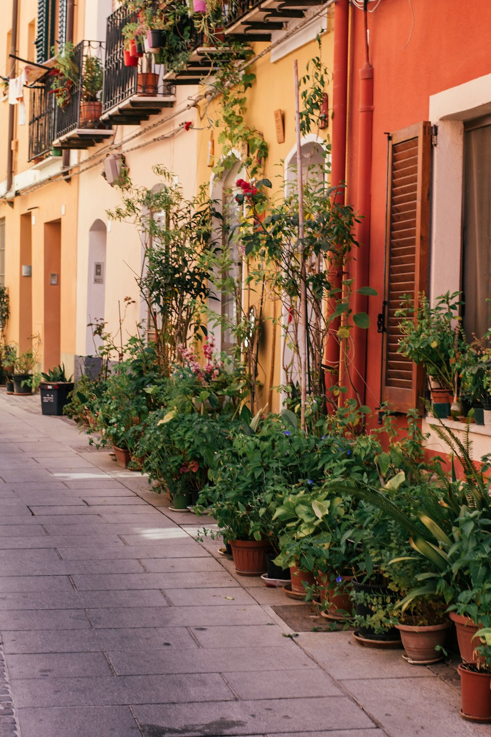 a street lined with potted plants next to a building