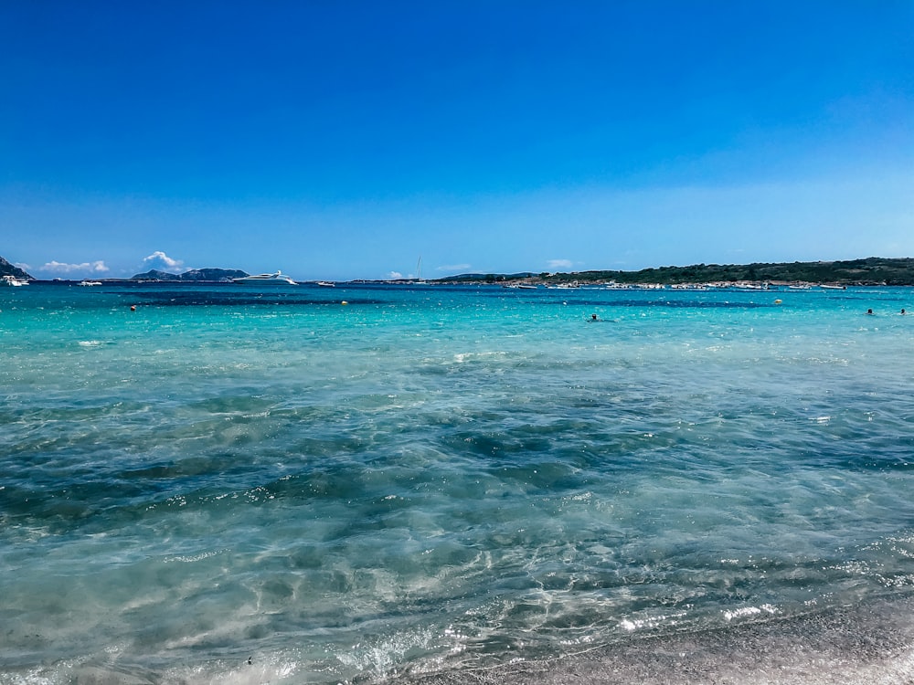 a body of water with people swimming in it