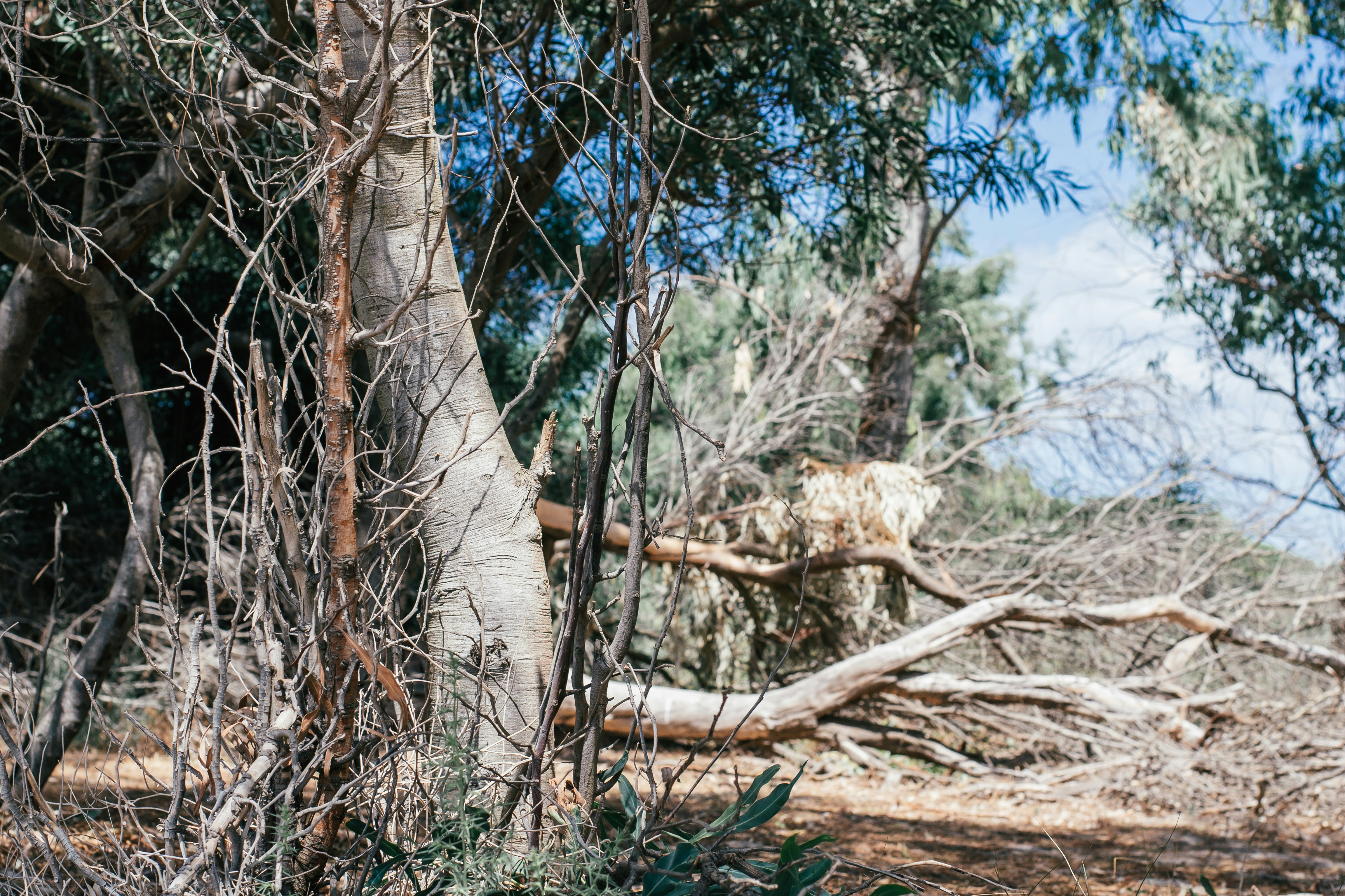 Photo by filizelaerts