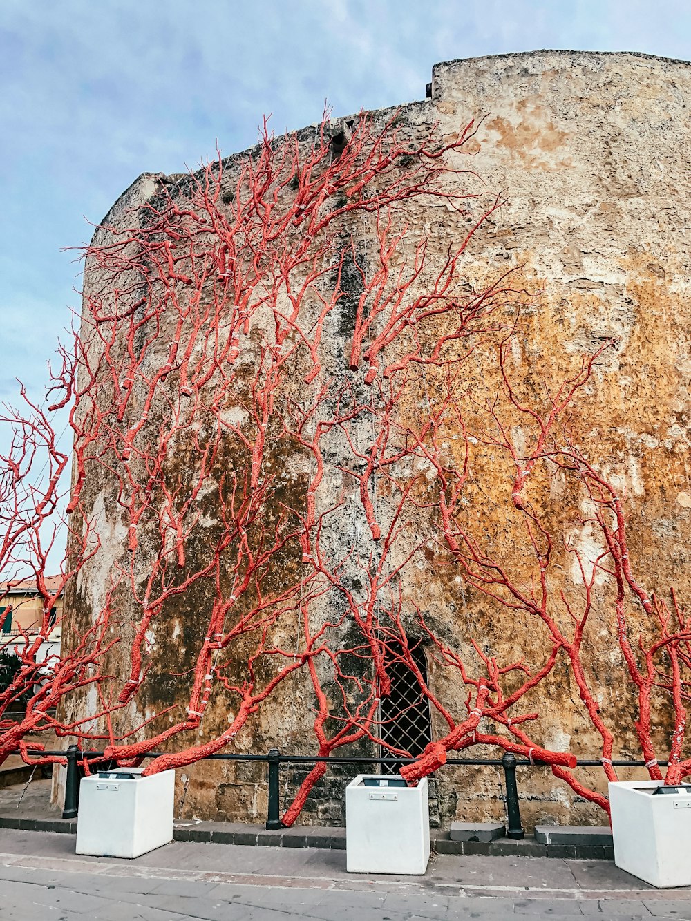 a building with red vines growing on the side of it
