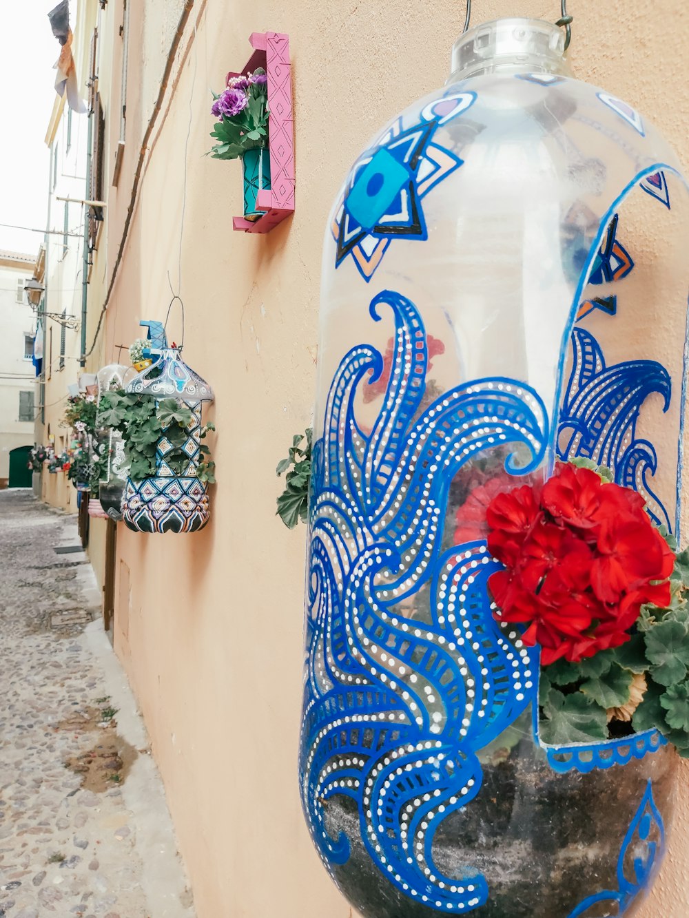 a vase filled with red flowers next to a wall