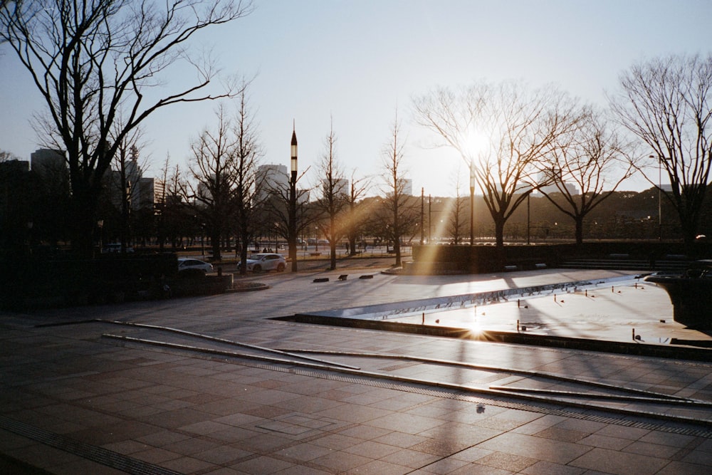 the sun shines brightly through the trees in a park