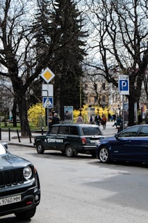 Cars are parked on the side of a street with several trees lining the road. Pedestrians walk along a path in the background, surrounded by bright yellow flowering bushes. Multiple street signs are visible, indicating road rules. The setting appears to be an urban environment with a park-like area nearby.