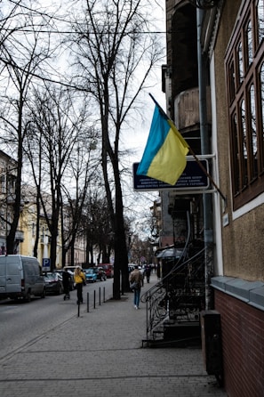 A street view with bare trees lining the sidewalk. A Ukrainian flag is prominently displayed on a building to the right. Several pedestrians walk along the paved sidewalk, and cars are parked on the side of the road. The buildings are a mix of old architectural styles.