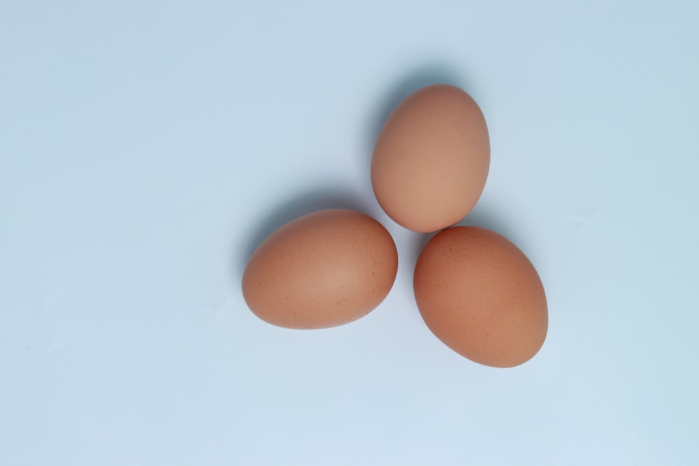 three eggs on a light blue background
