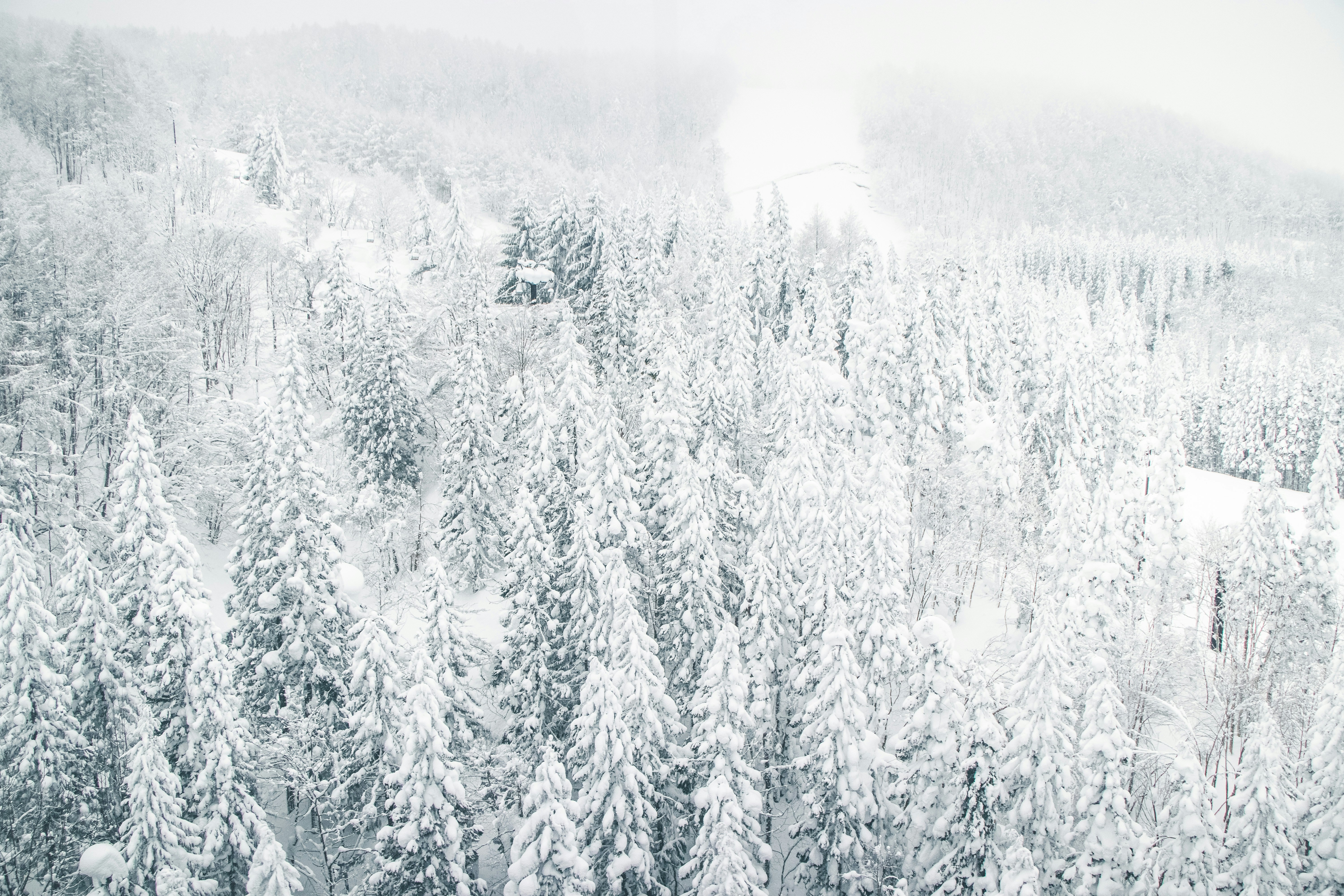 Photo by hayato_masumitsu