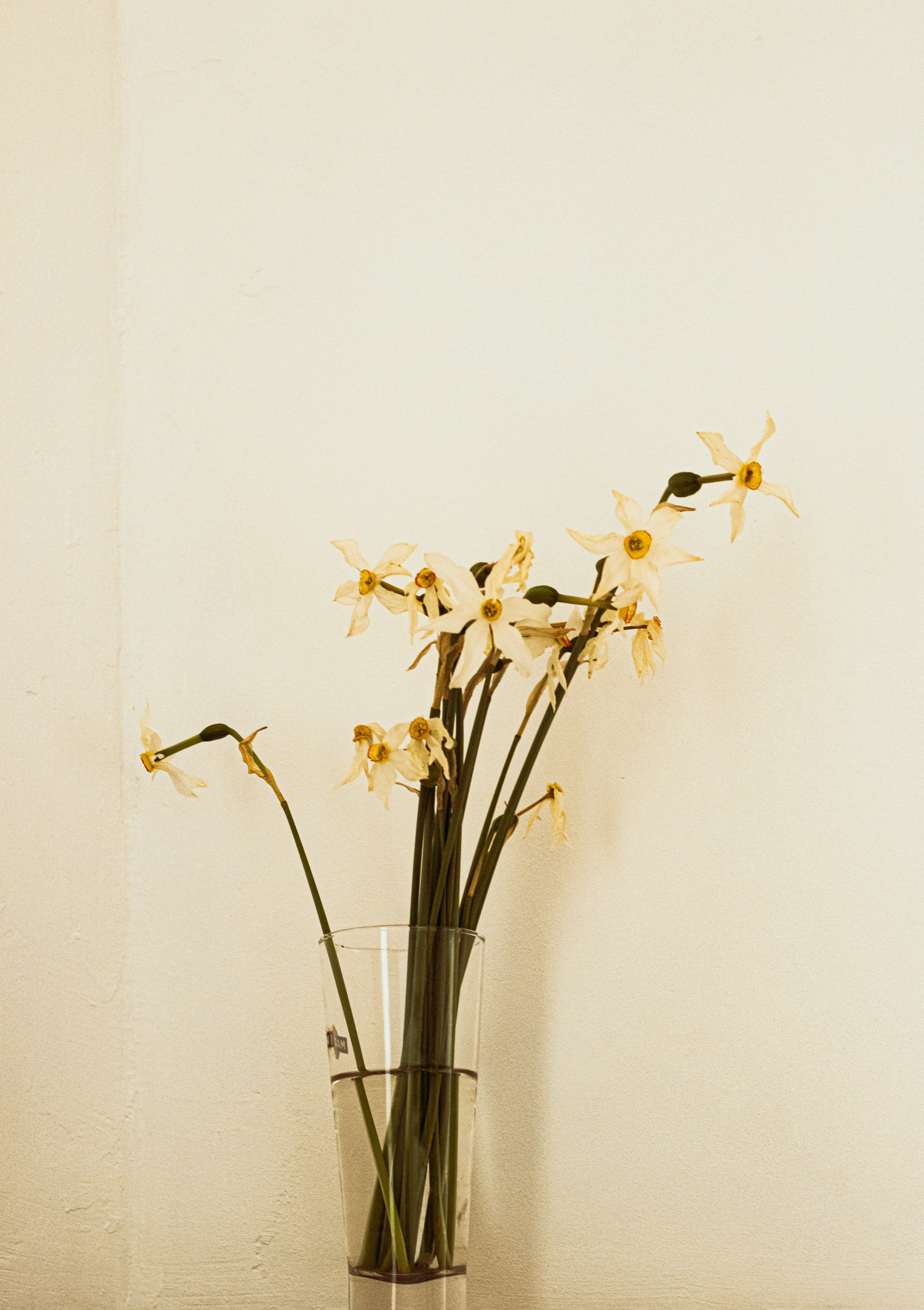 Photo by moino007