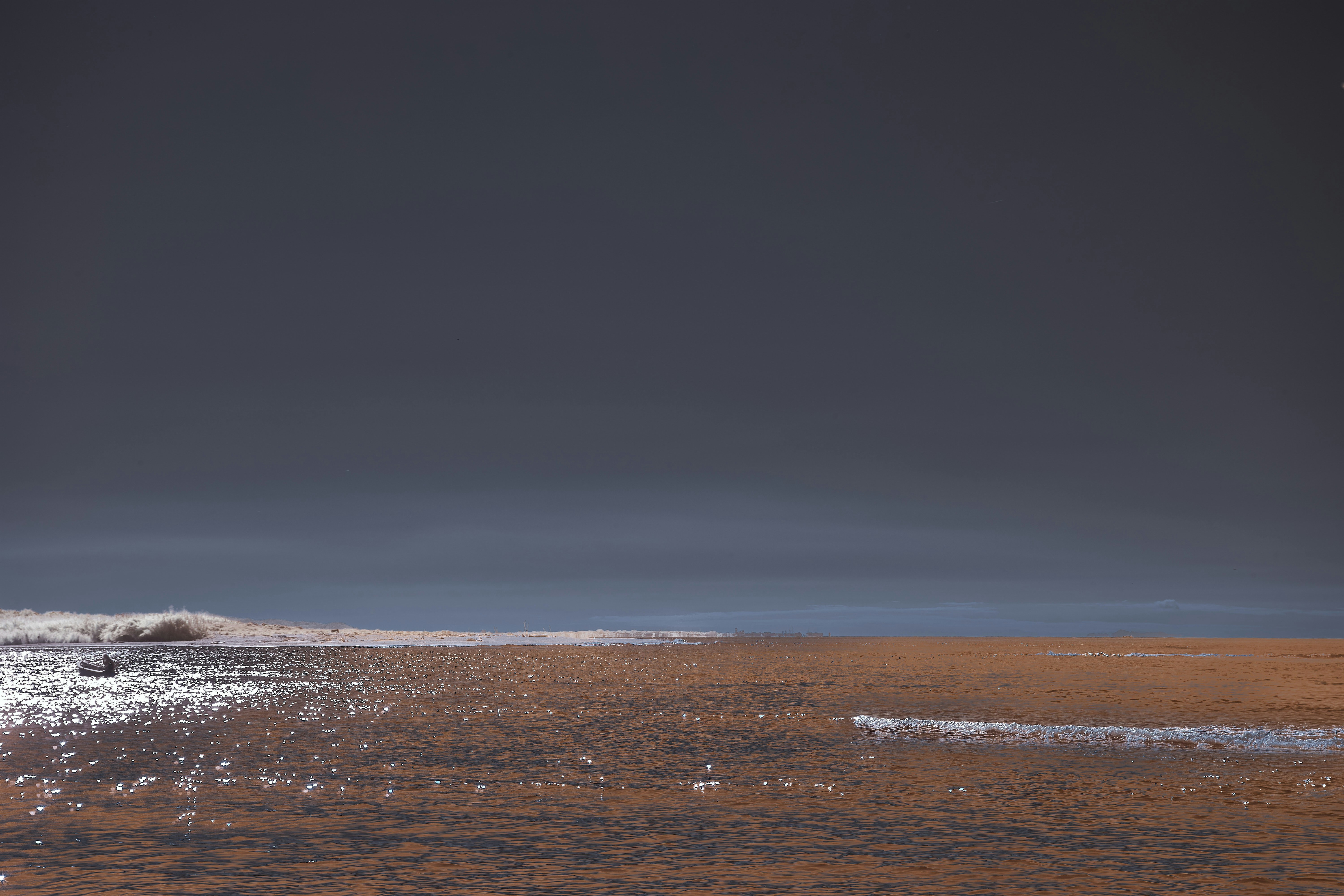 Photo by wolfgang_hasselmann