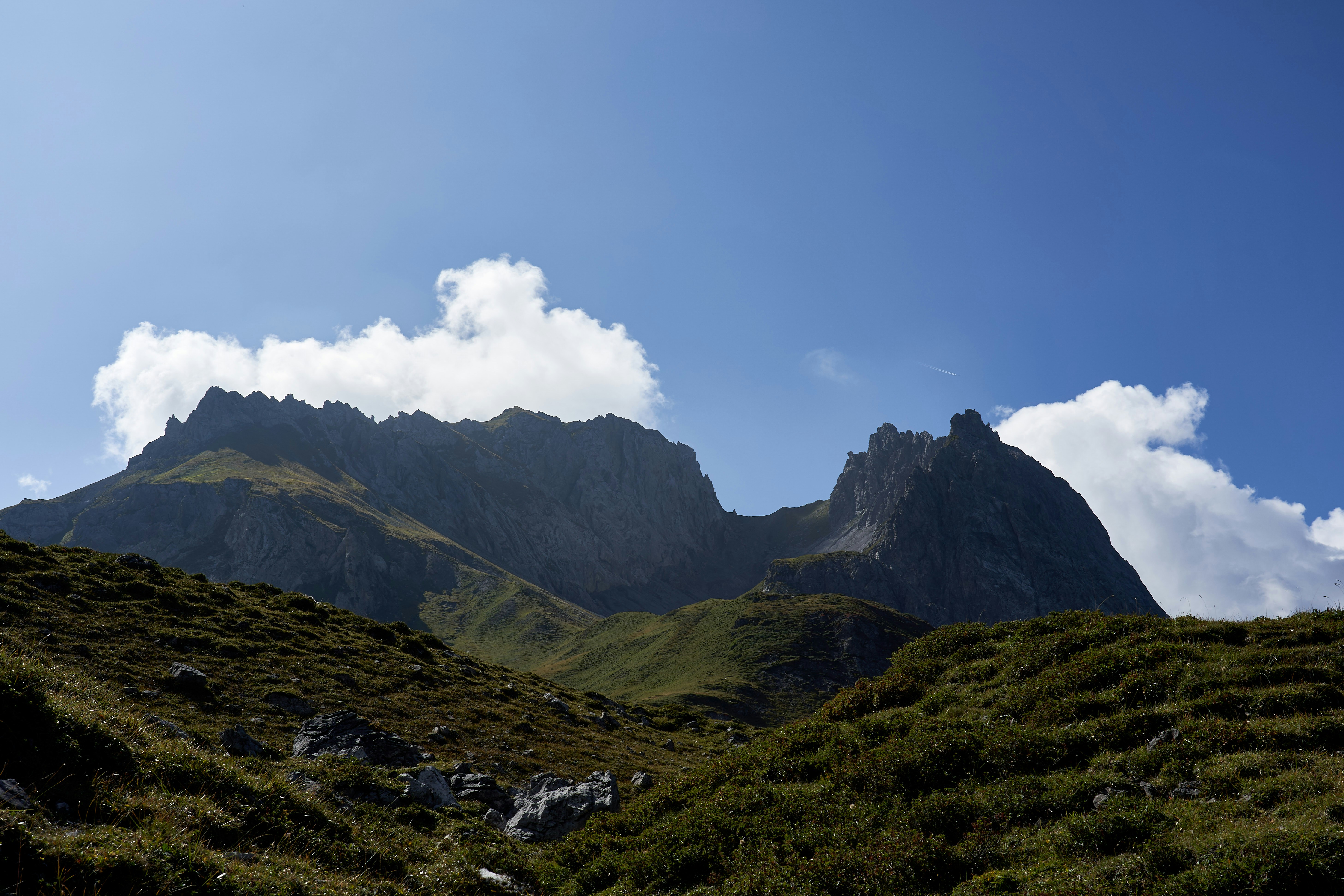 Photo by wolfgang_hasselmann