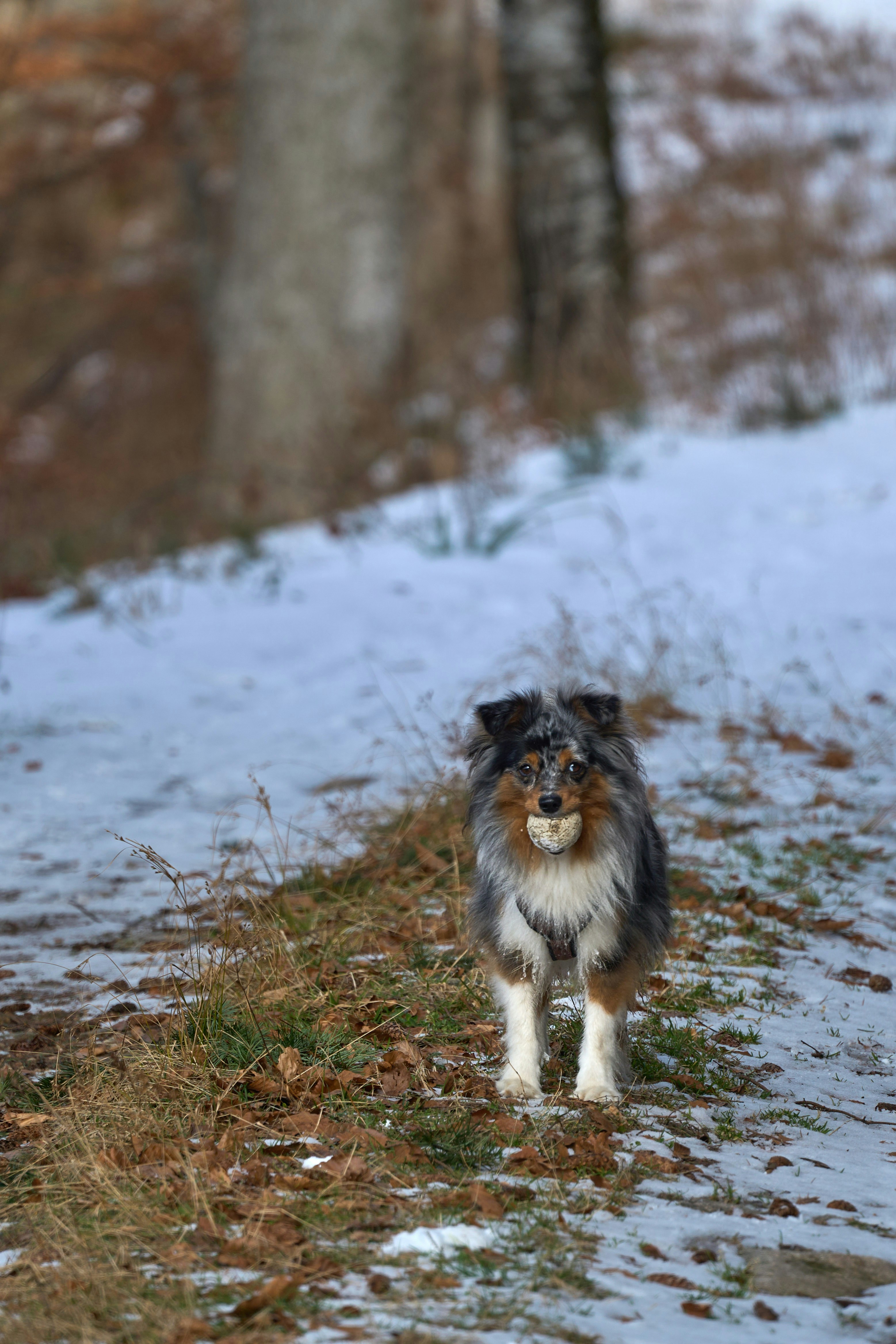 Photo by wolfgang_hasselmann