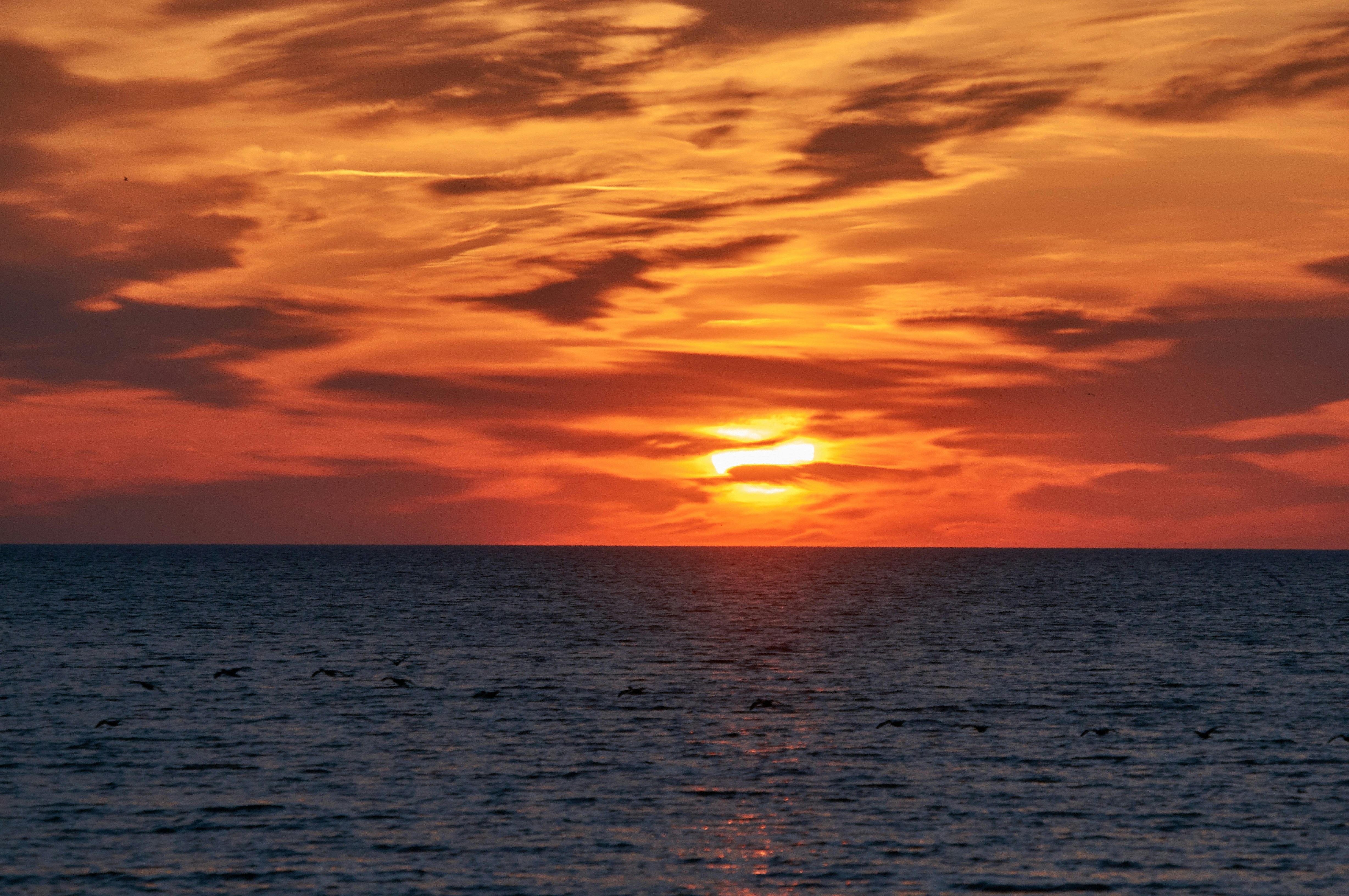 Photo by wolfgang_hasselmann