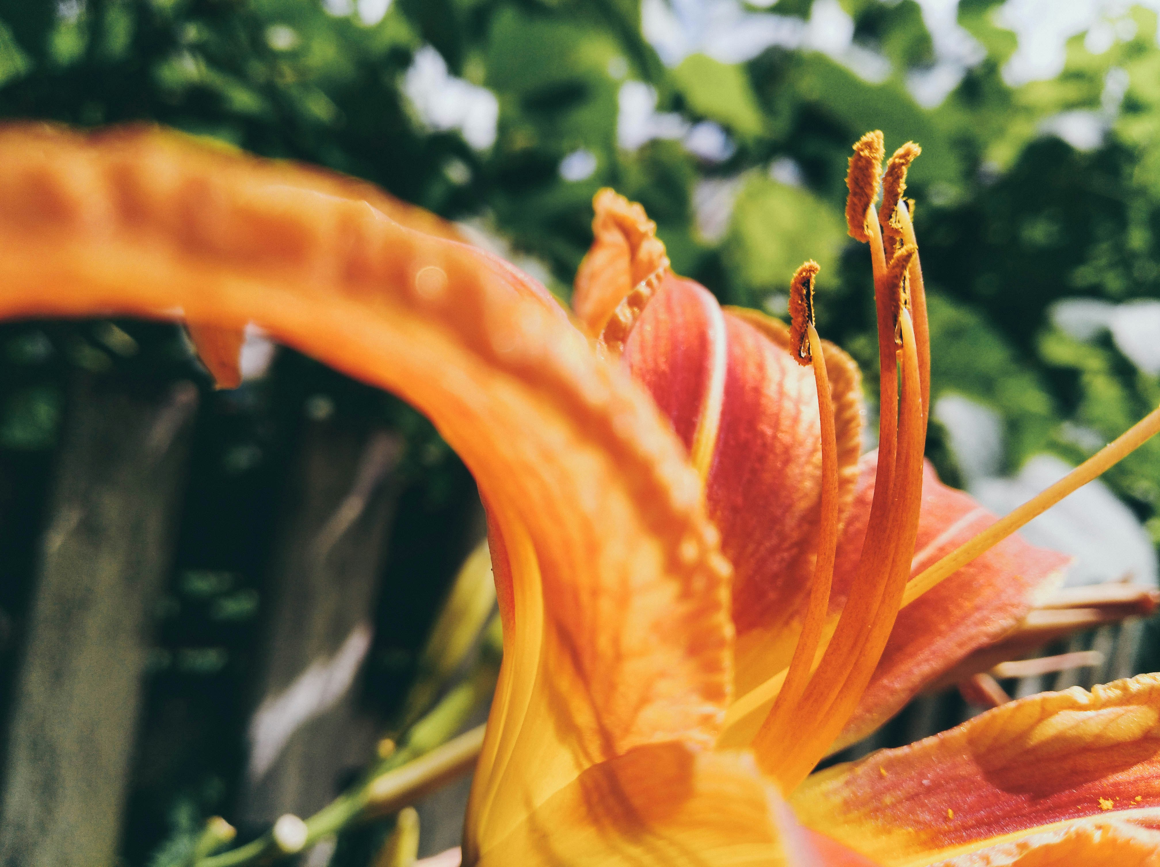 Photo by karinavitvitska